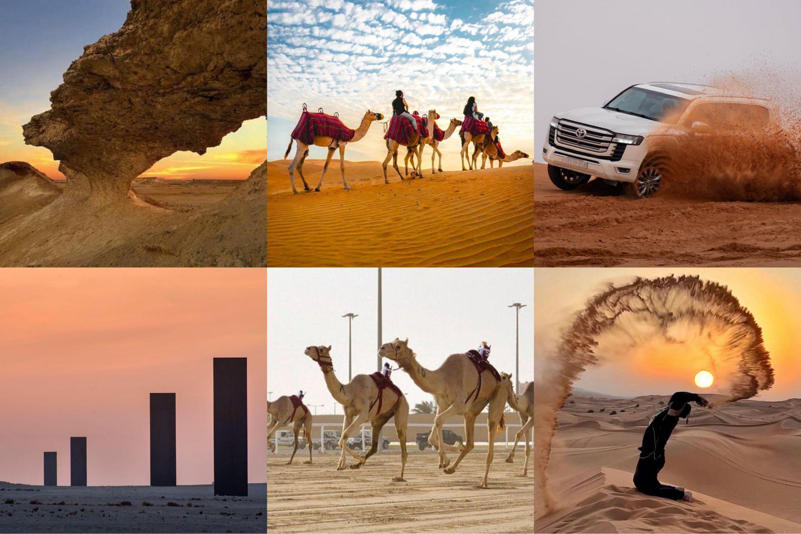 From Doha: Full-Day Private West Coast & Desert Safari Tour 2