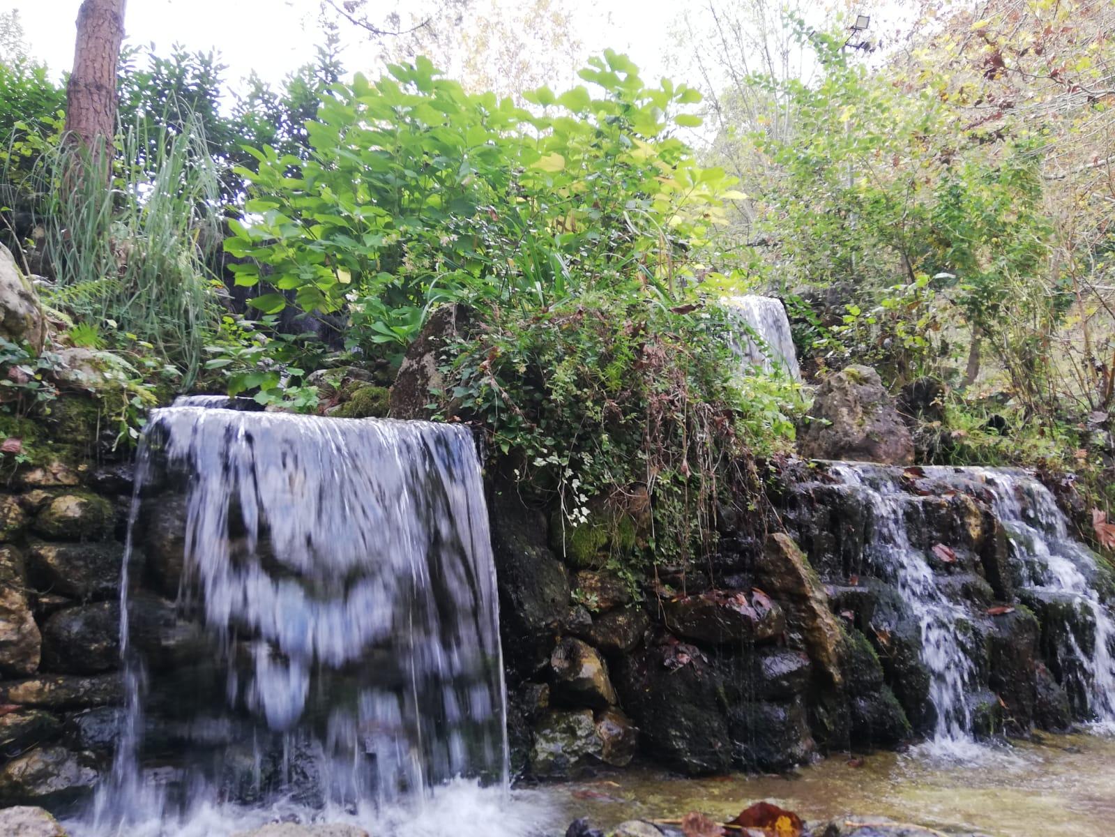 Sapanca & Masukiye Full-Day Tour with Lunch and Transfers 3