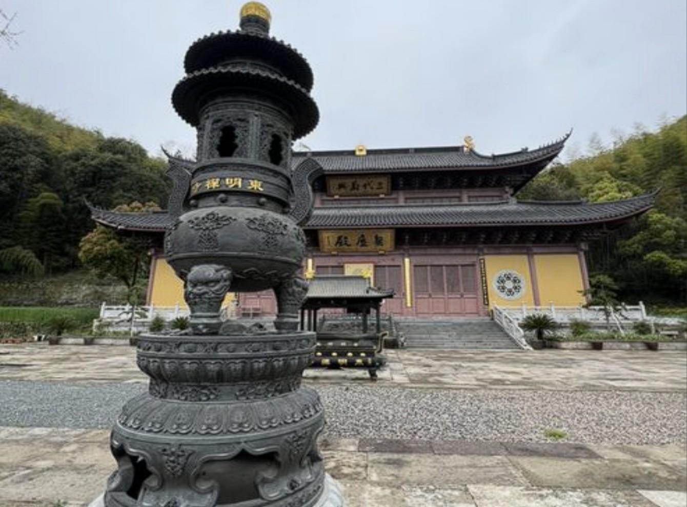 shanghai: Dongming Bamboo & Farm Picking Private Day Trip