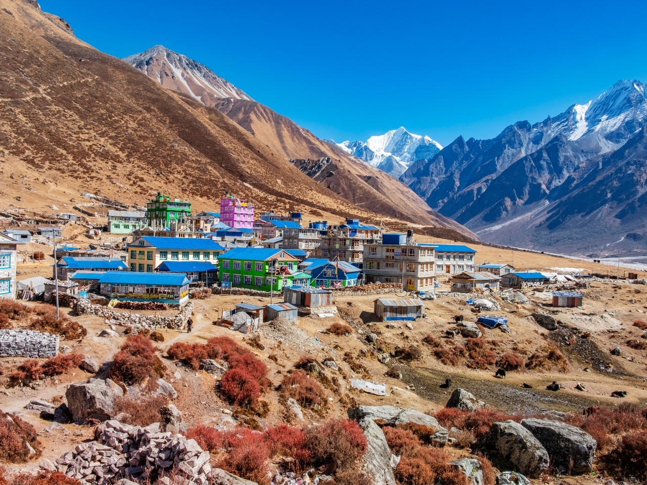 Kathmandu: 6 Days Langtang Valley Trek with Kyanjin Ri 2
