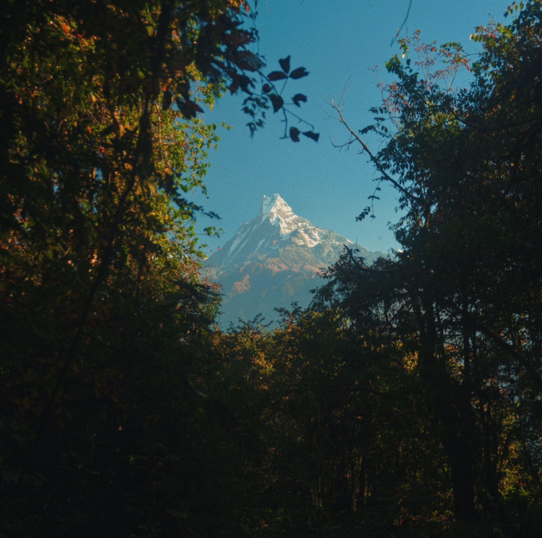 Pokhara: Annapurna Base Camp Trek- 7 Days with Guide & Meals 3