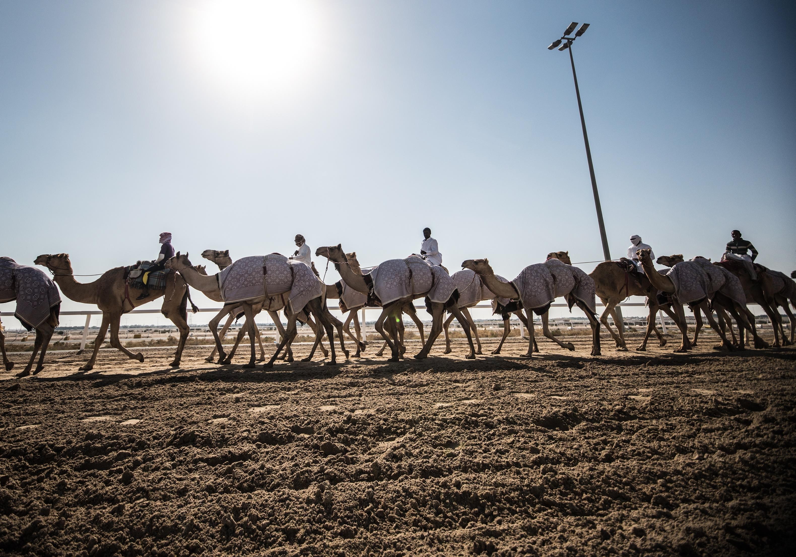 West Qatar Tour – Explore History, Culture & Hidden Gems 2