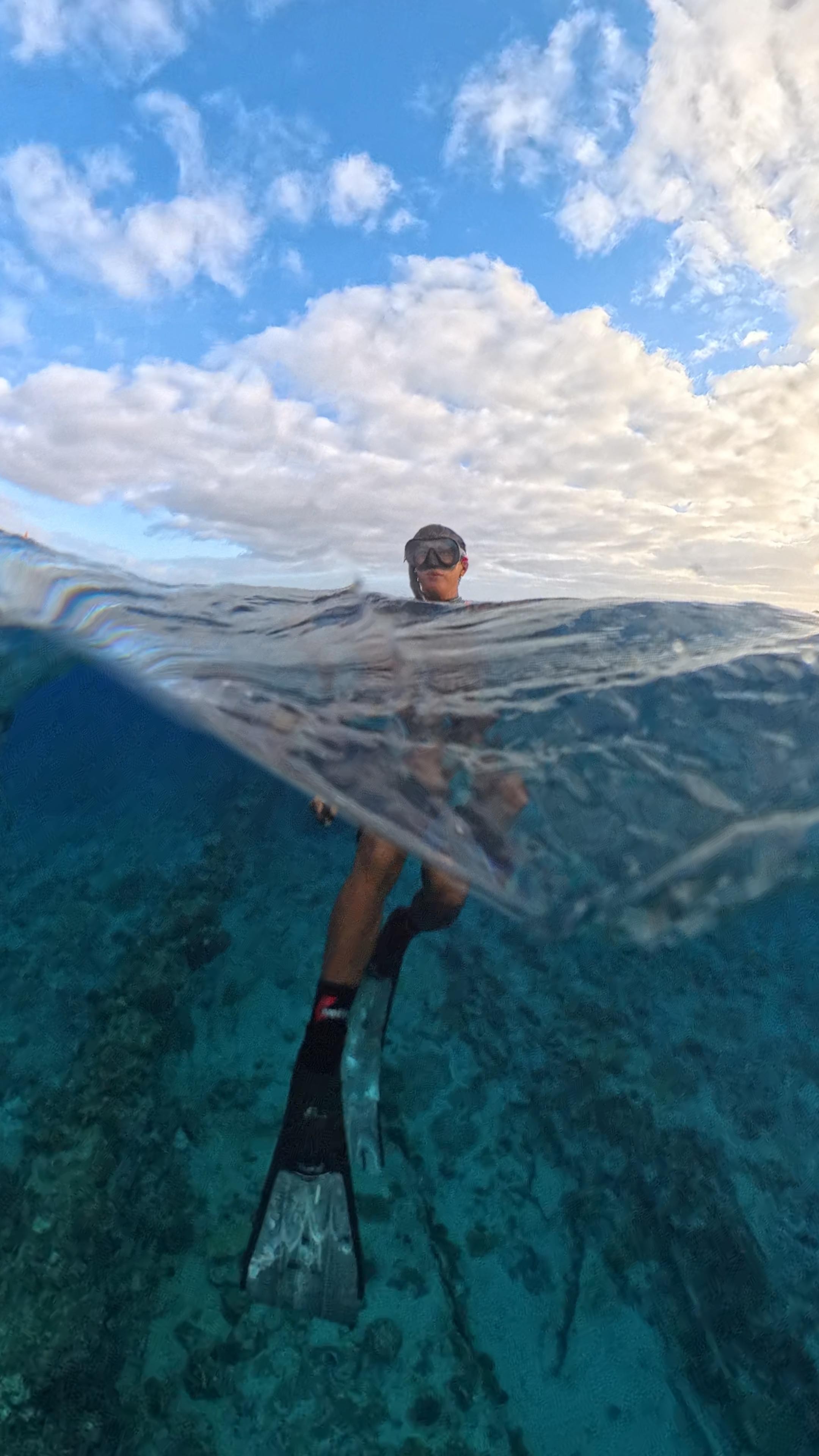 Mactan: Freediving and Island Hopping with lunch 3
