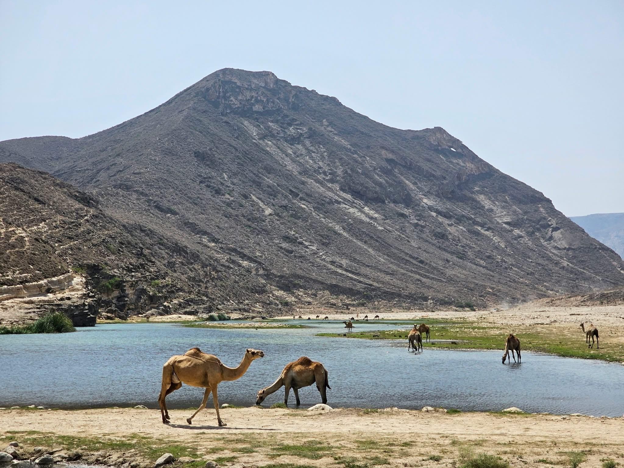 Discover West Salalah: Full-Day Tour by Safari Salalah Tours