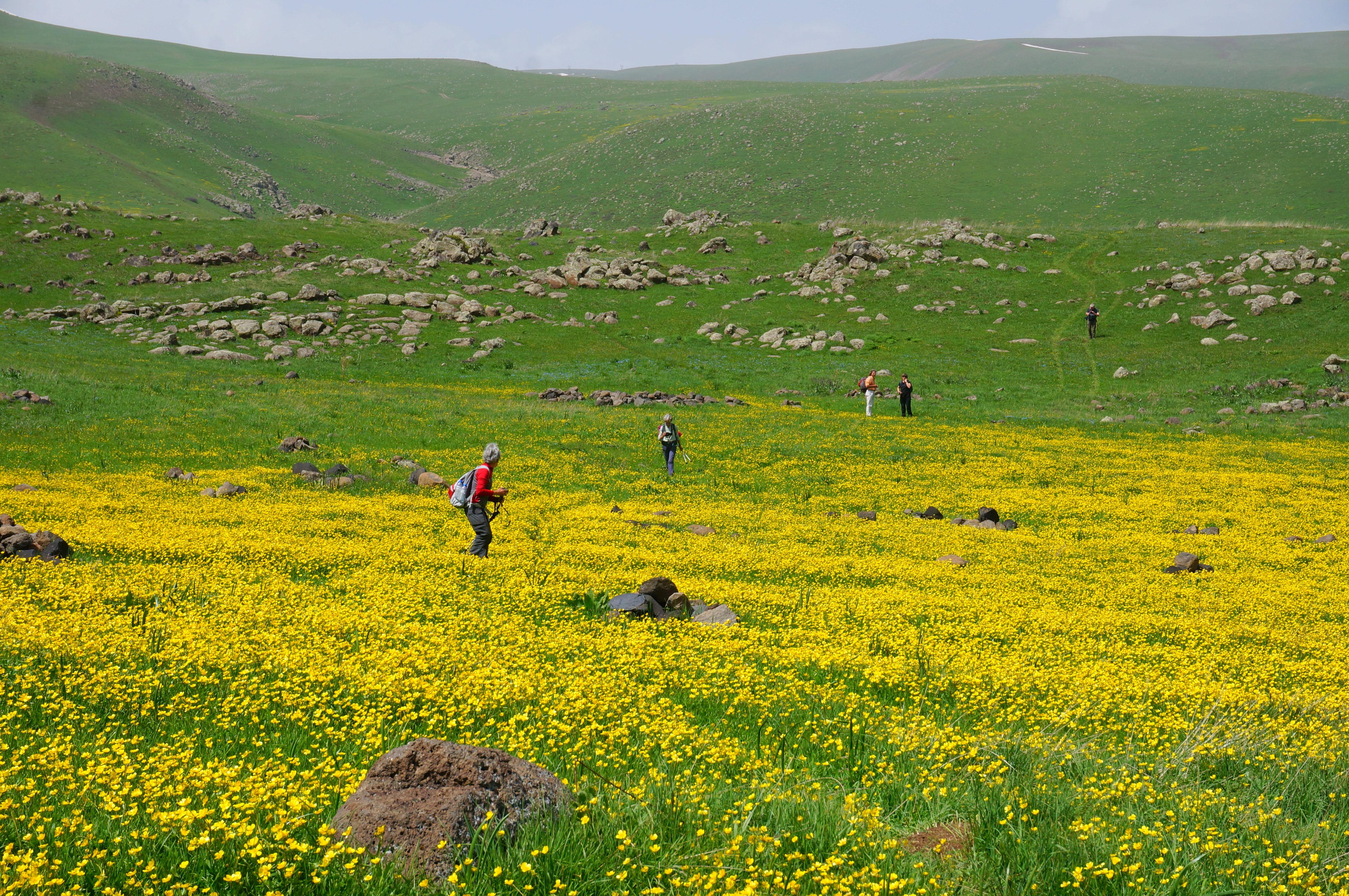 Yerevan: Dilijan National Park Guided Hike 3