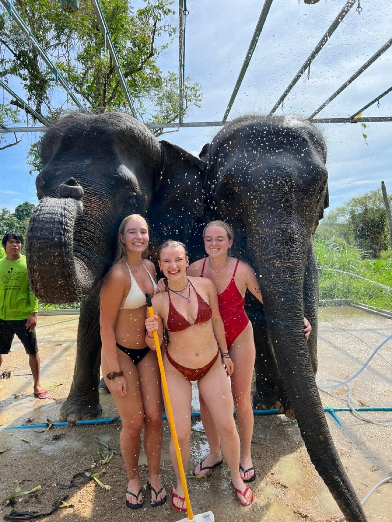 Jaipur: Elephant Sanctuary Experience with Transfer 2