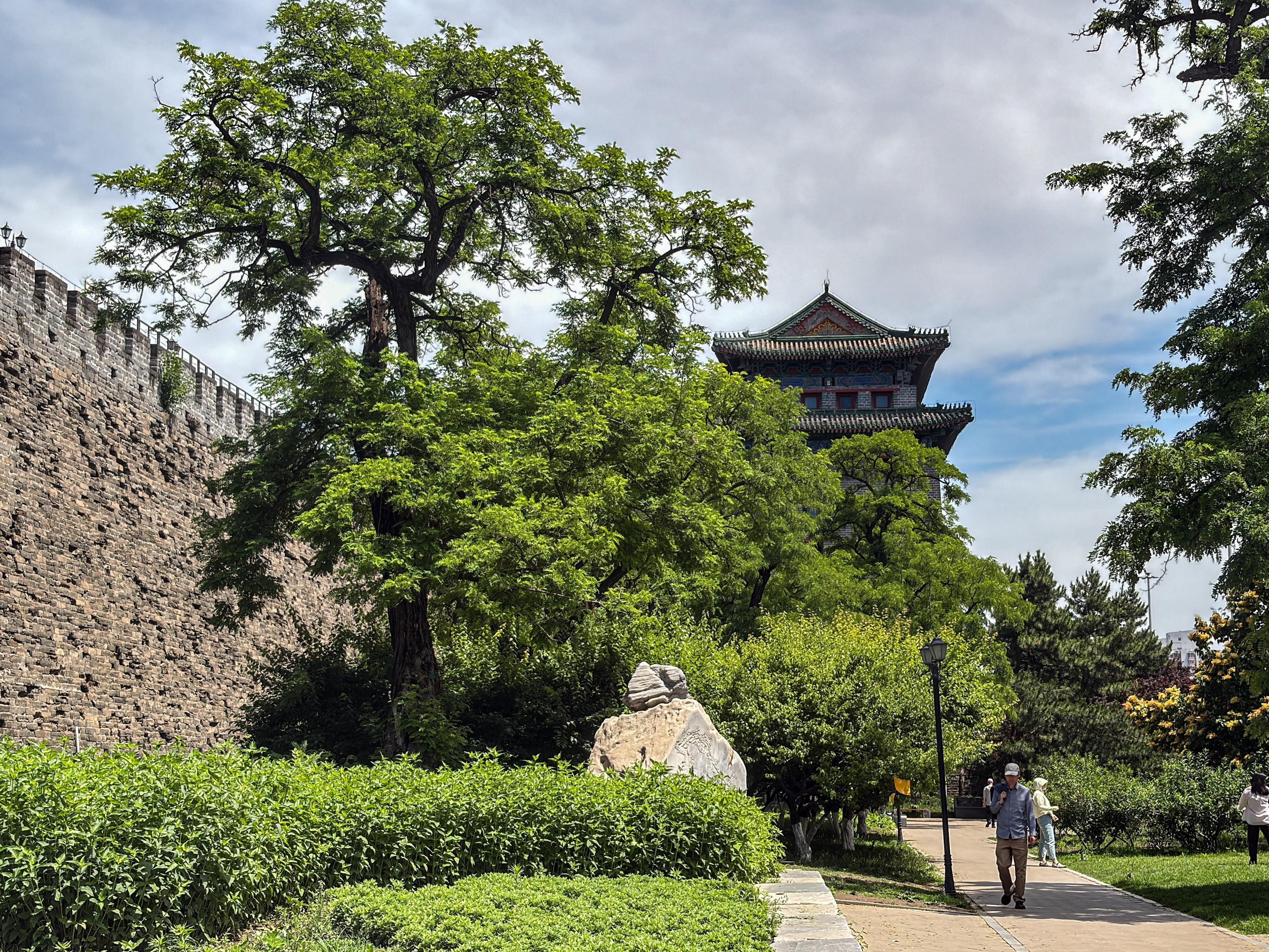 Unique Beijing: Ancient Observatory & City Wall Walking Tour