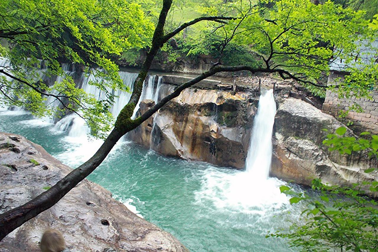 Kutaisi: Terjola Day Tour with Optional Lunch & Wine Tasting 2