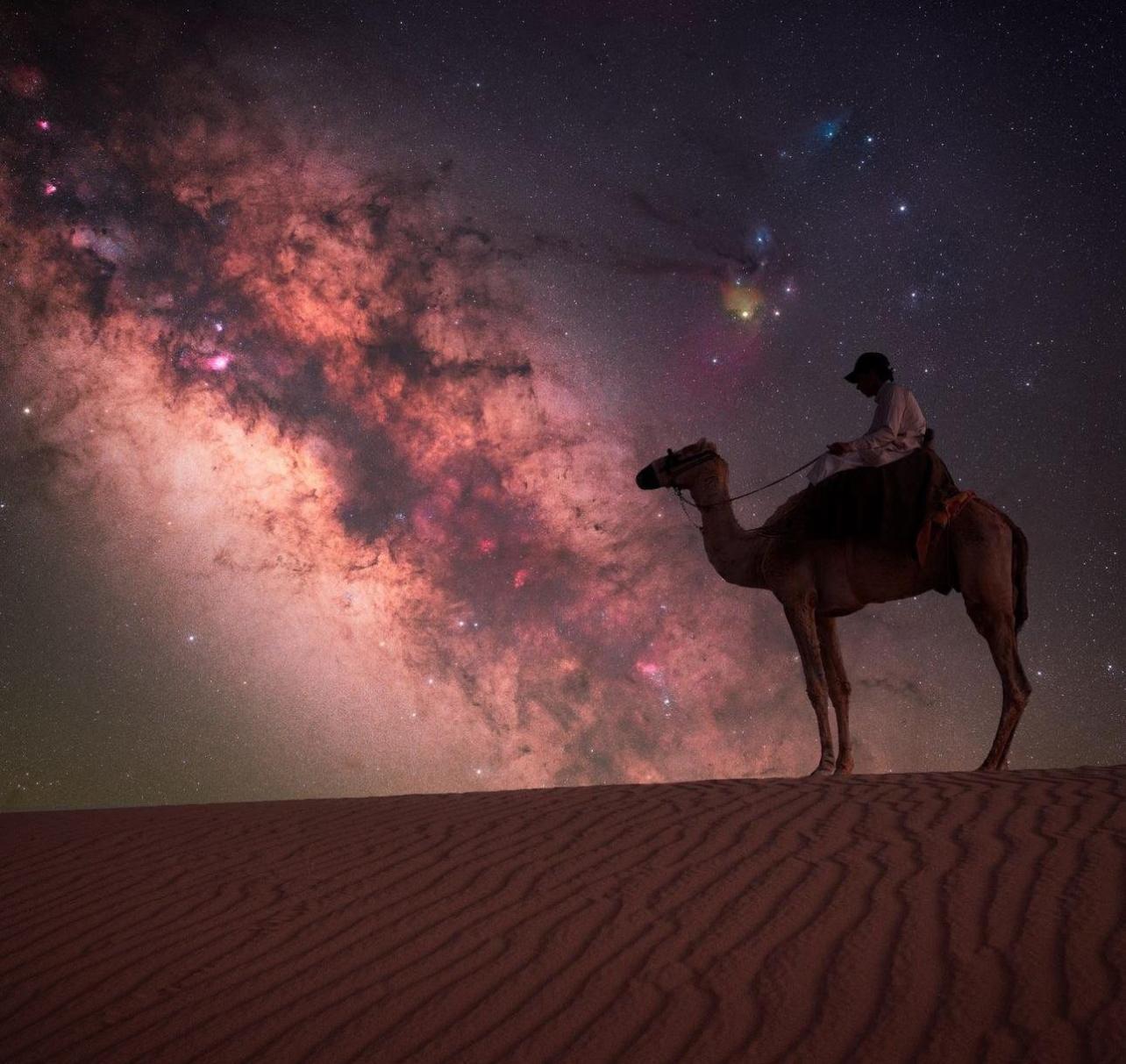 Doha: Night Desert Safari Stargazing Dune Bashing,Camel Ride 3