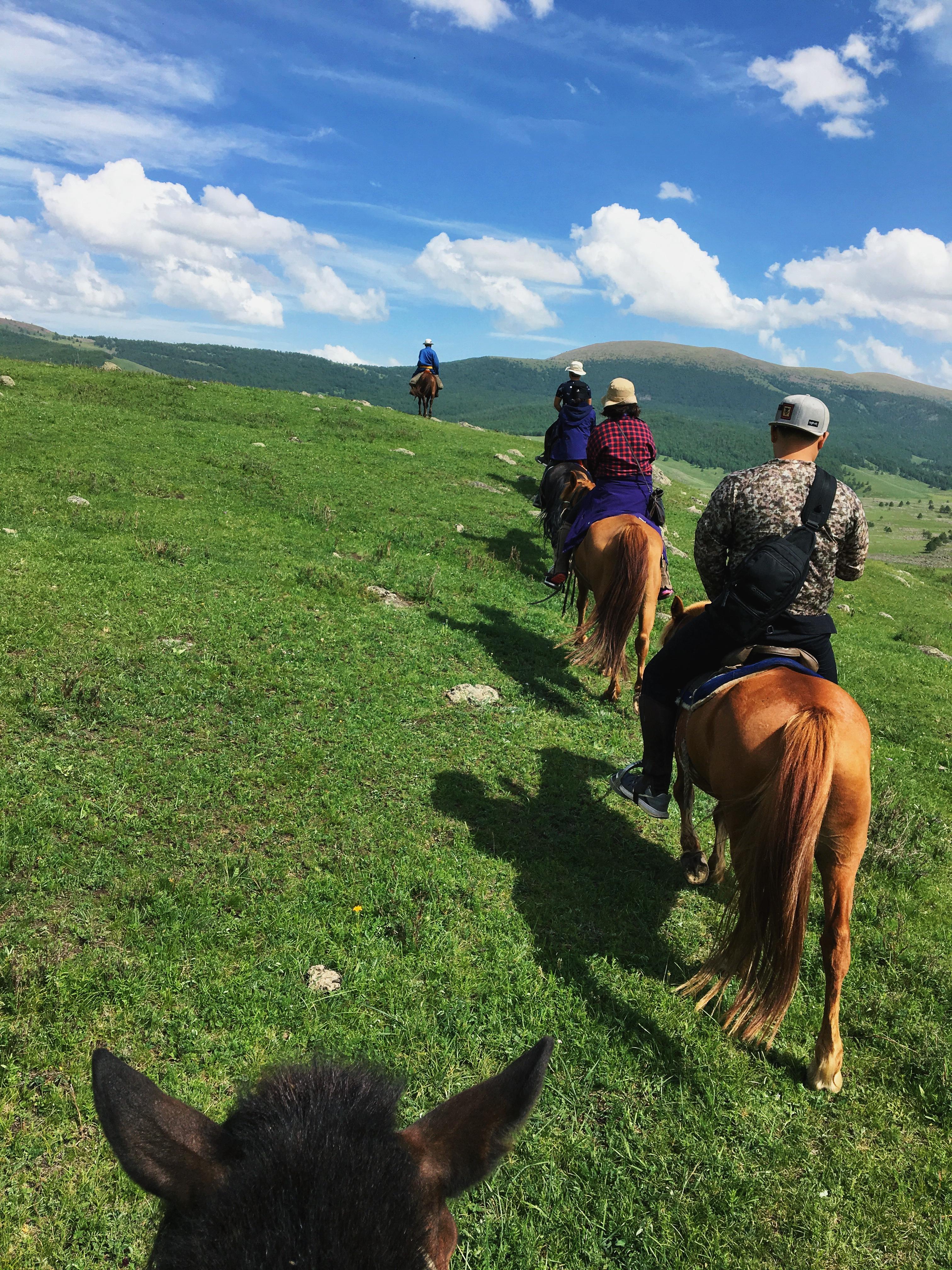 Horse riding experience in Terelj National park 1 day 3