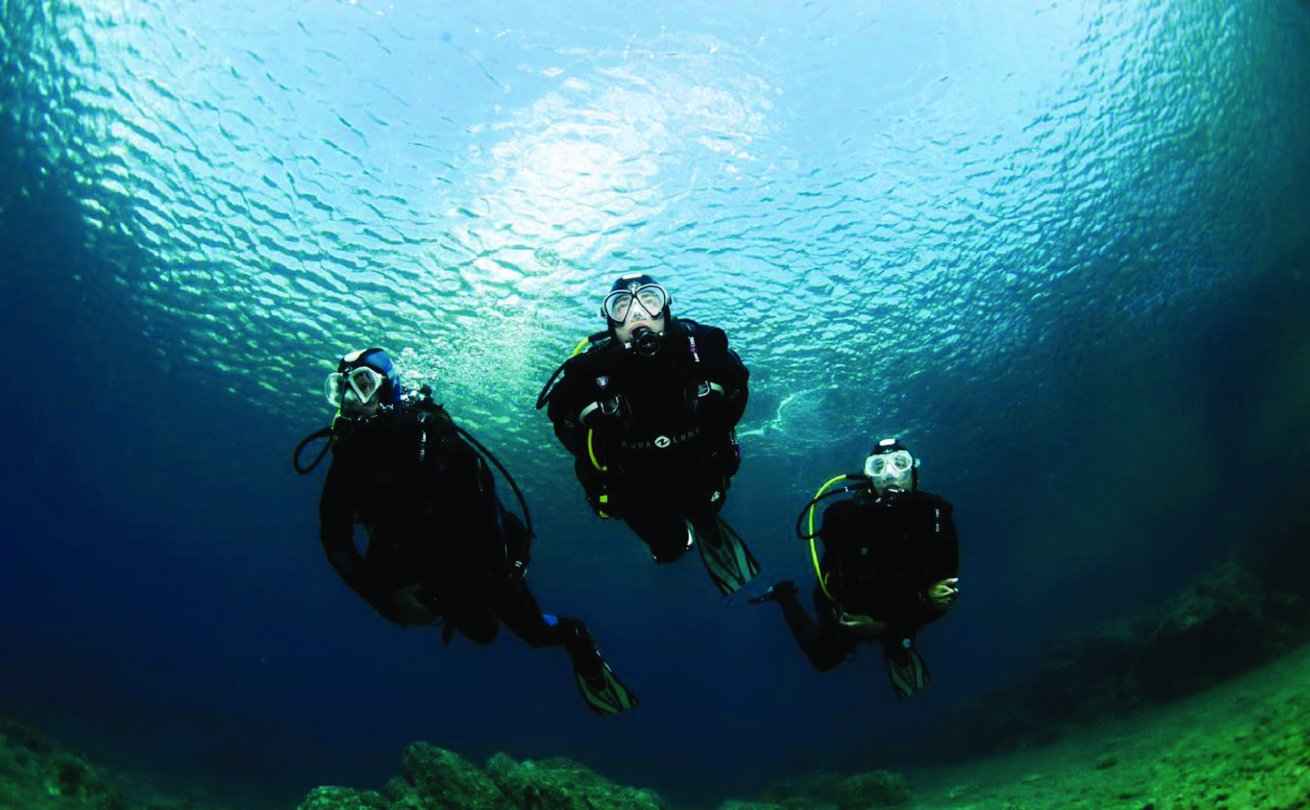 Shore Diving with private beach access & Lunch