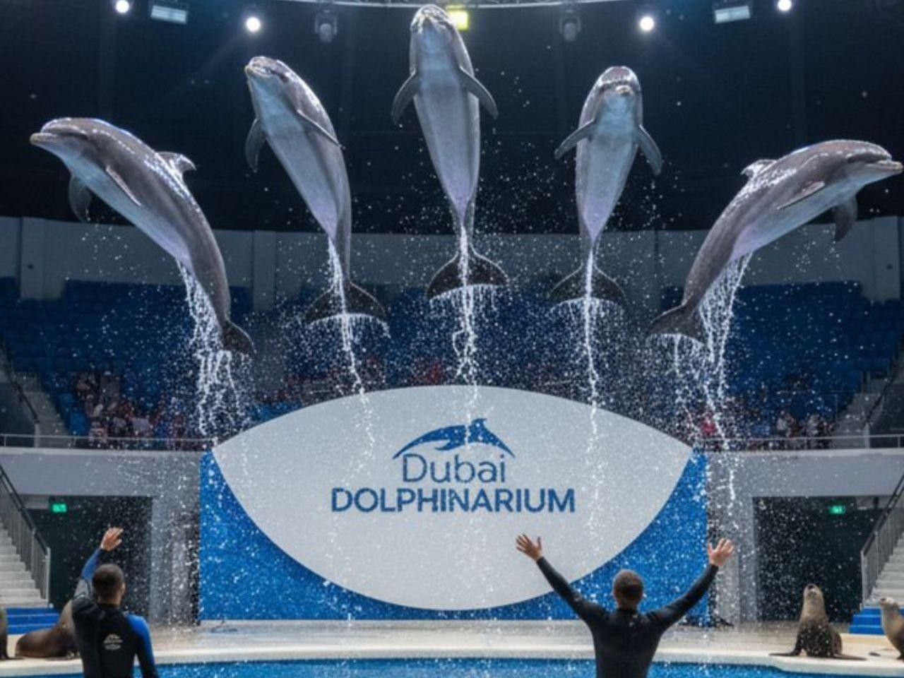Dubai: Dolphinarium with VIP Ticket and GMC Yukon Transfer