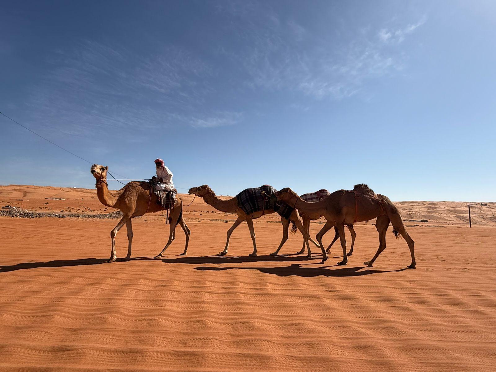 Muscat: Wahiba Desert Tour with Dinner & Visit Bedouin House 2