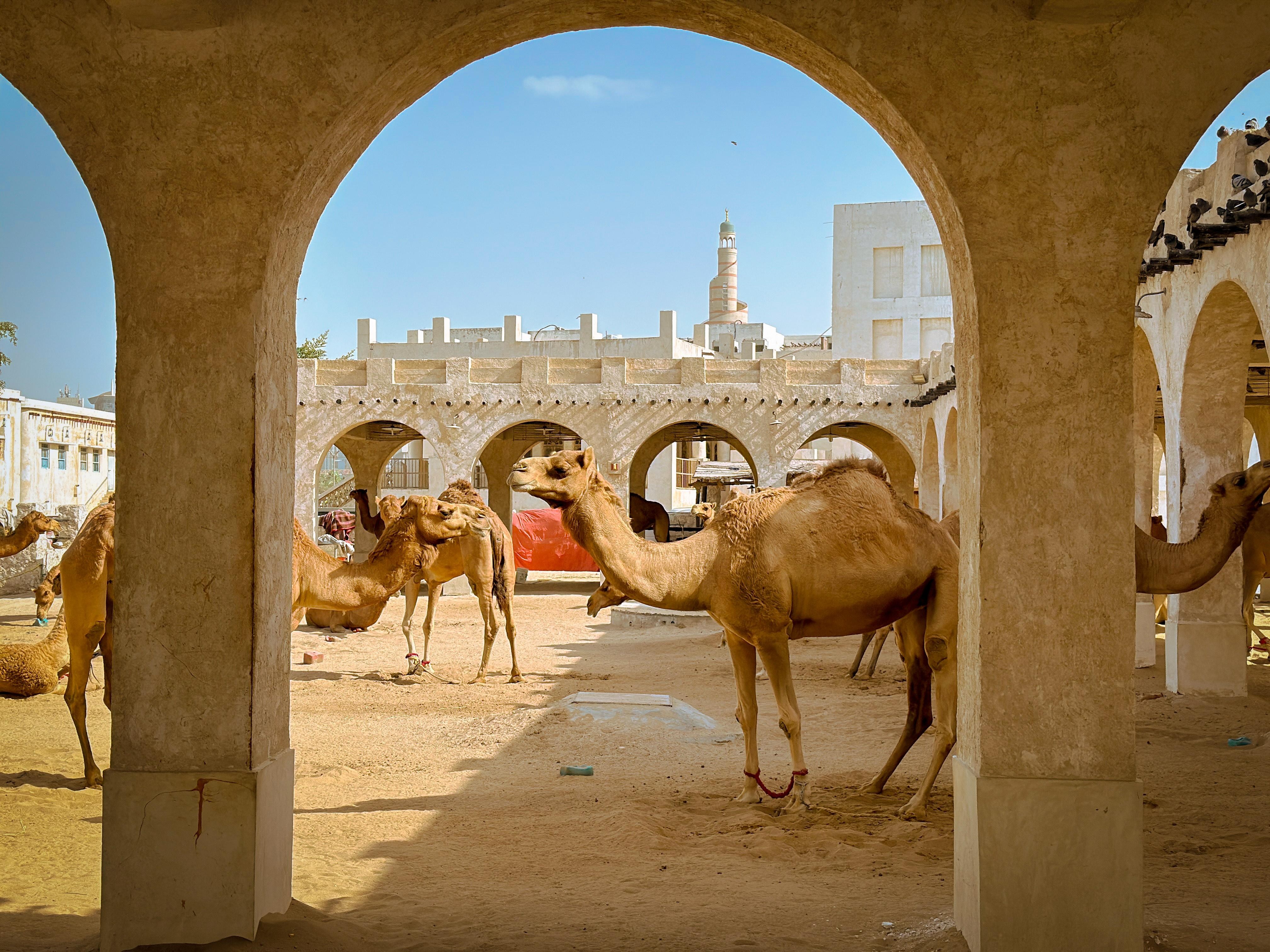 Doha: Doha City Tour With Transfers From Hotels And Airport 3