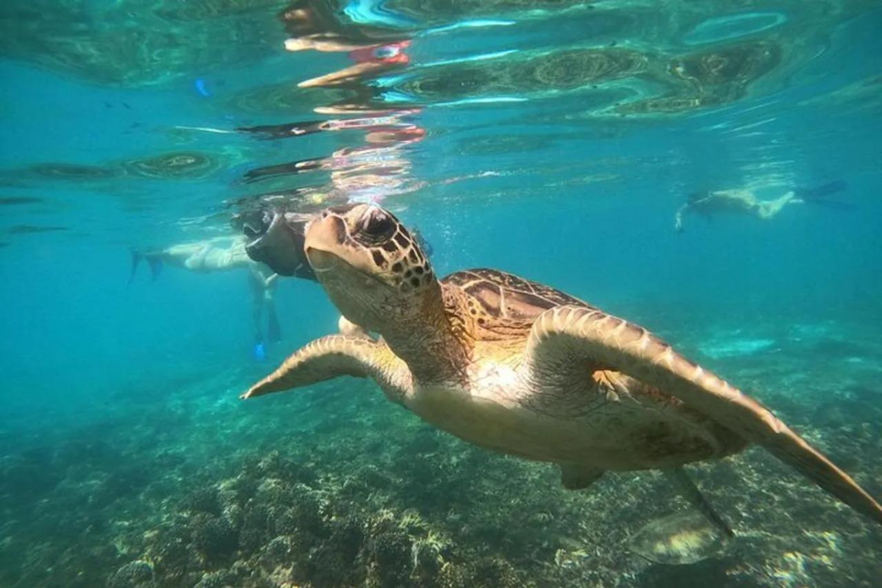 Muscat: Daymaniyat Islands Snorkeling Tour 2