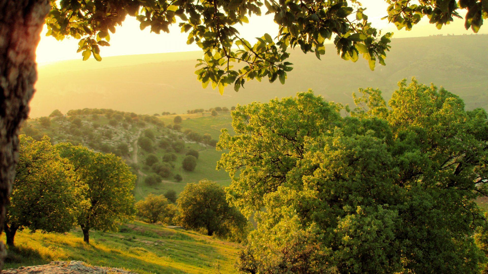 Amman: 4-Day Jordan Tour with Petra and Dead Sea
