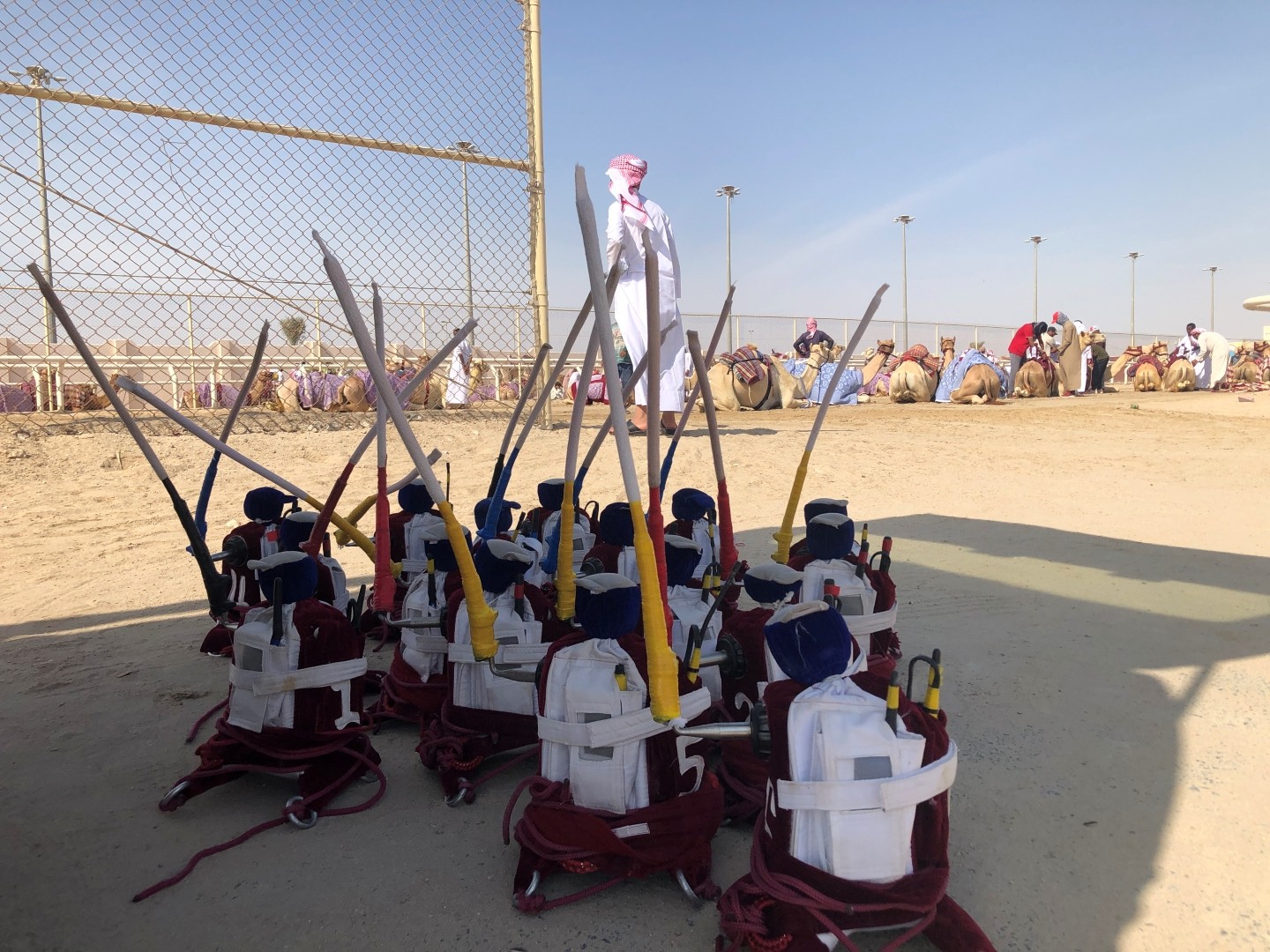 Doha Camel Racing Track: Oryx Farm & Sheikh Faisal Museum. 3