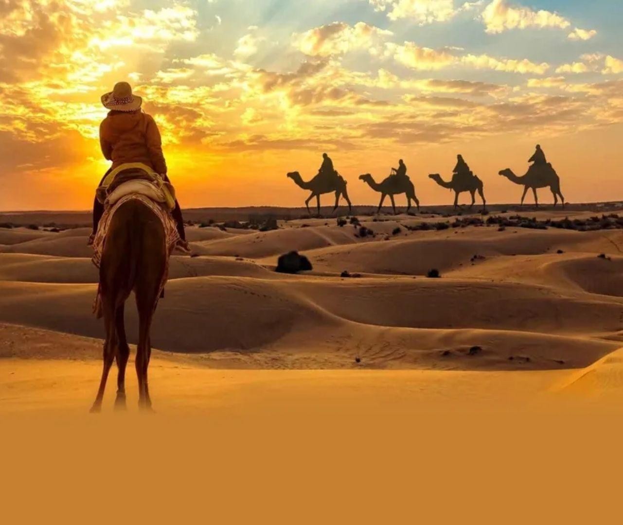 Doha Desert Odyssey: Guided Tour with 3 Dune-Driving Choices