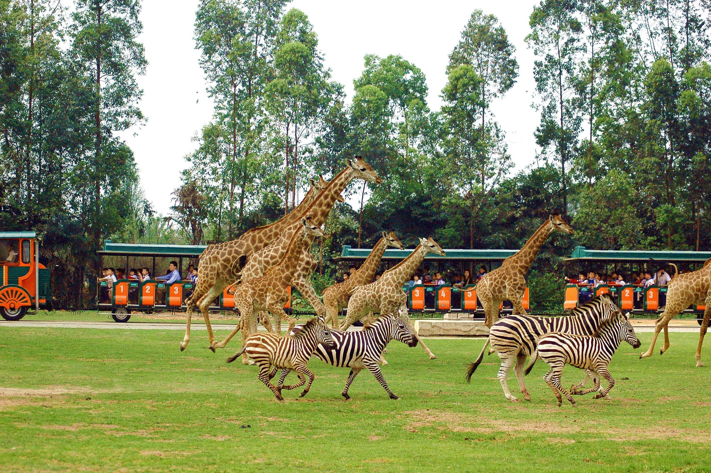 Guangzhou: Adventure, Culture & Cuisine 5-Day Trip 3