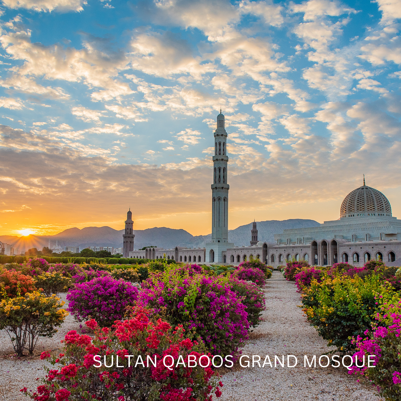 Muscat: Half-Day City Tour