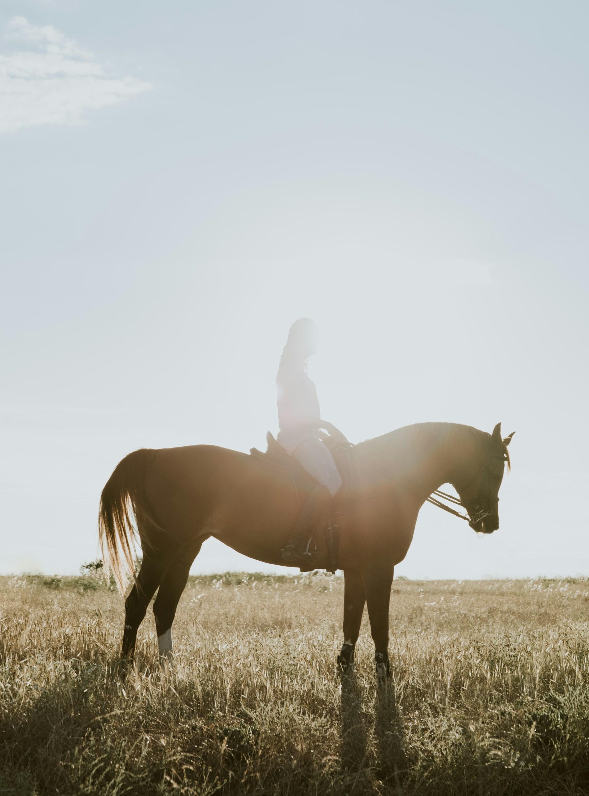 From Baku: Yanar Dag Visit, Horse Ride, and Dinner Tour 3