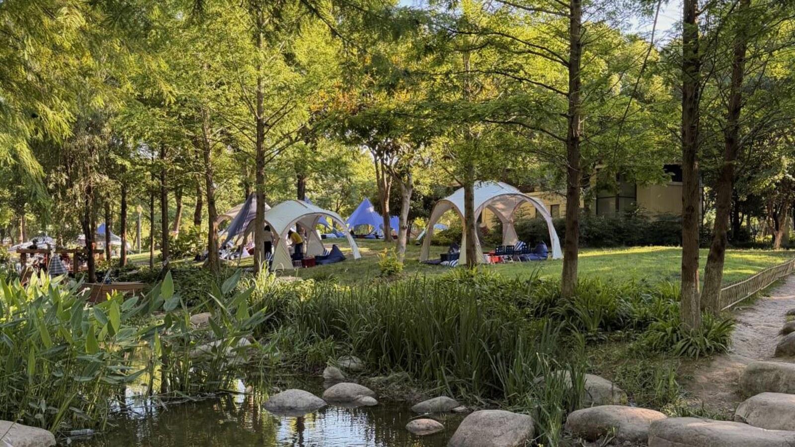 Shanghai: Forest Camp & Chinese Folk Culture Family Day
