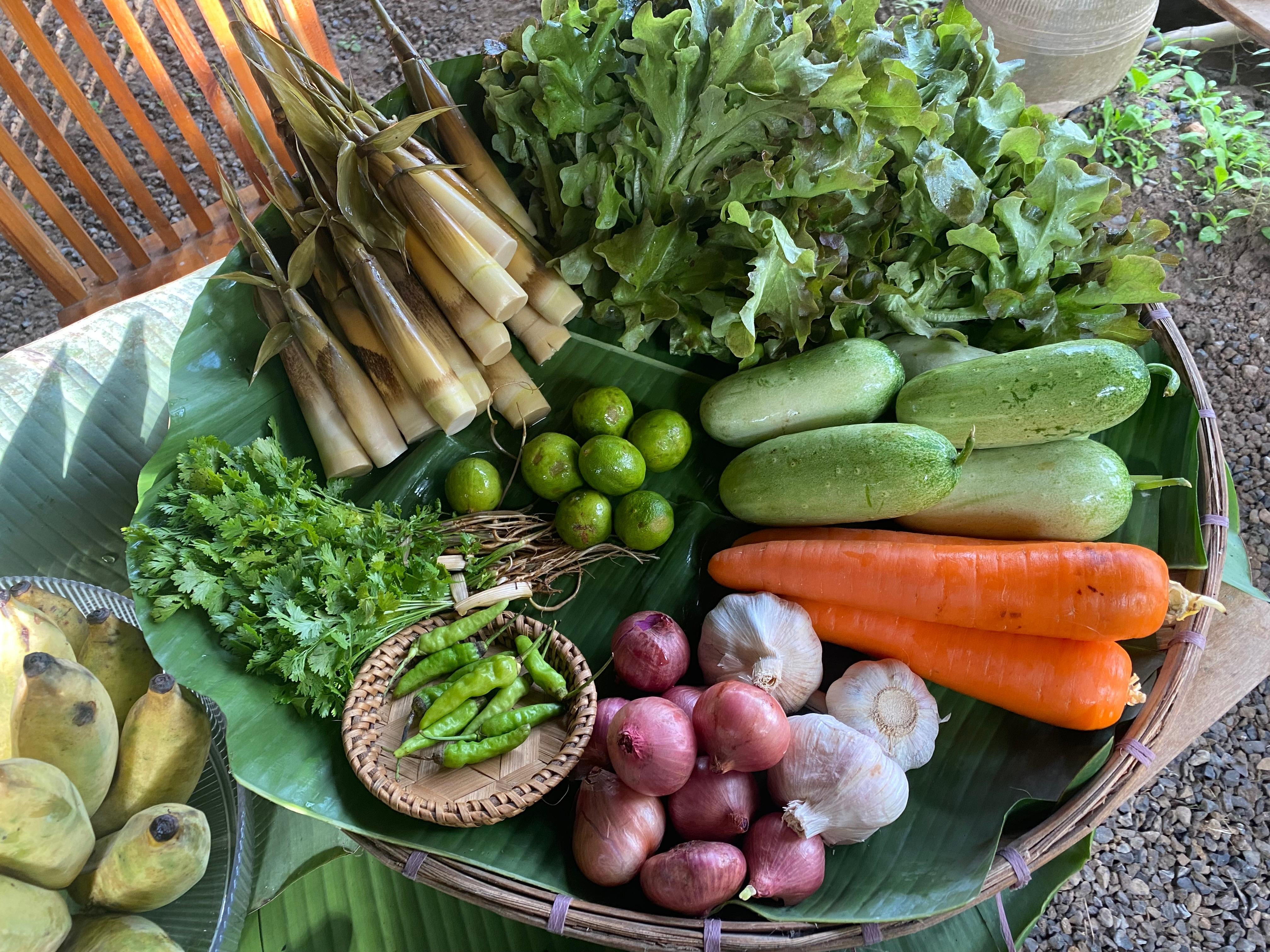 Luang Prabang: Authentic Lao Farm-to-Table Cooking Class 2