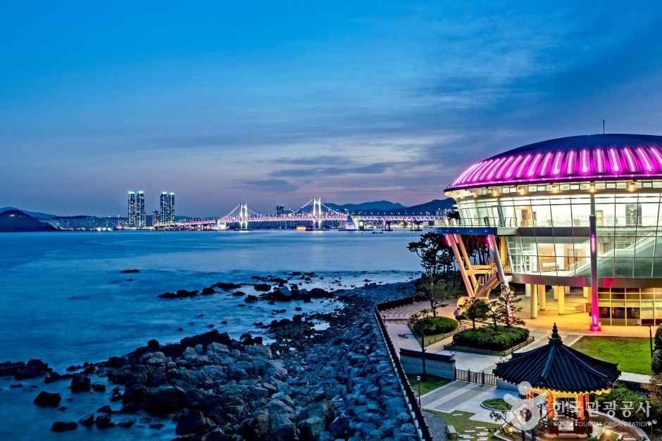 Busan: Private Movie Filming Locations Tour with Guide 3