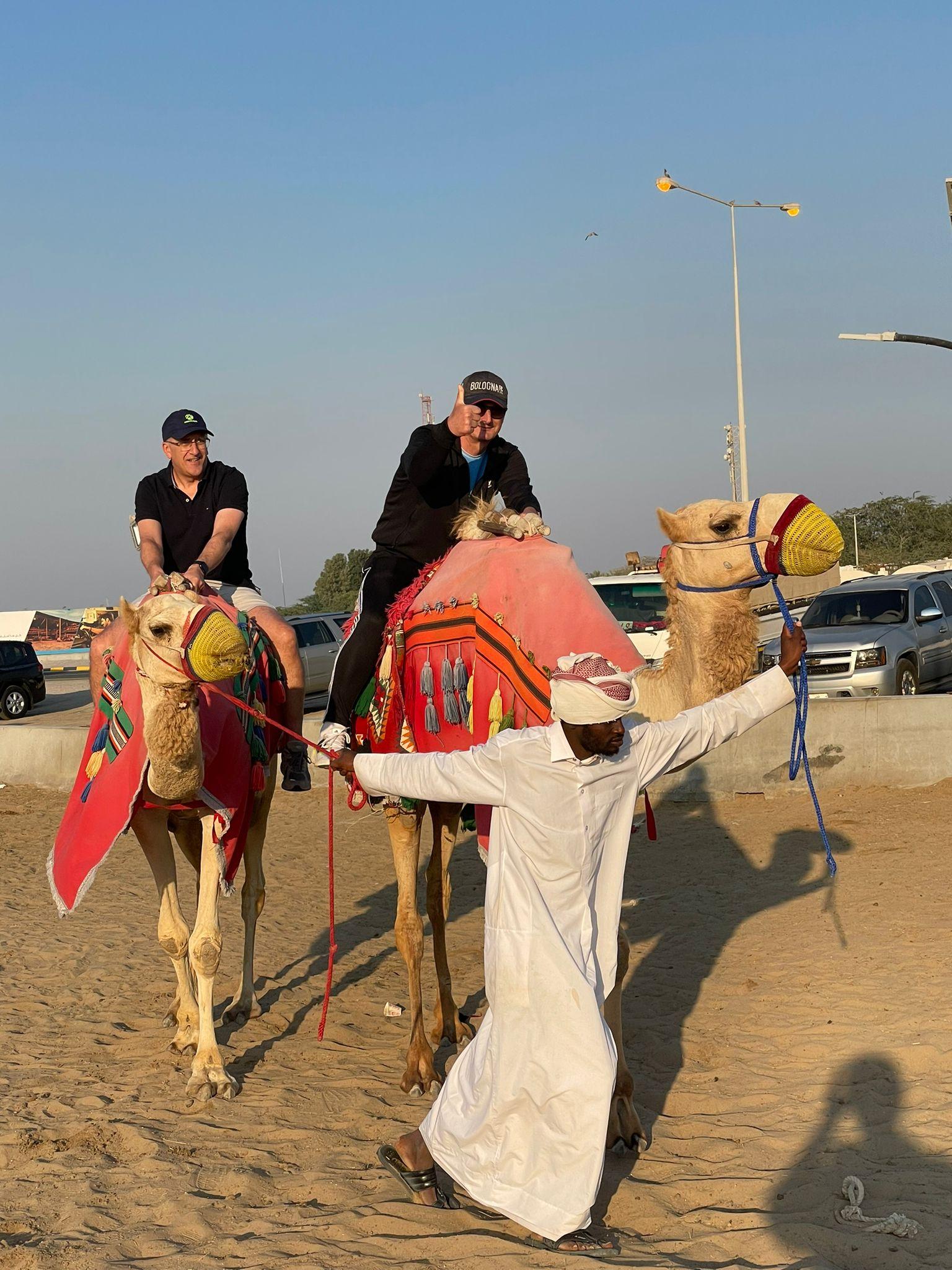 Doha: Private Inland Sea Safari, Camel Ride & Sandboarding 2