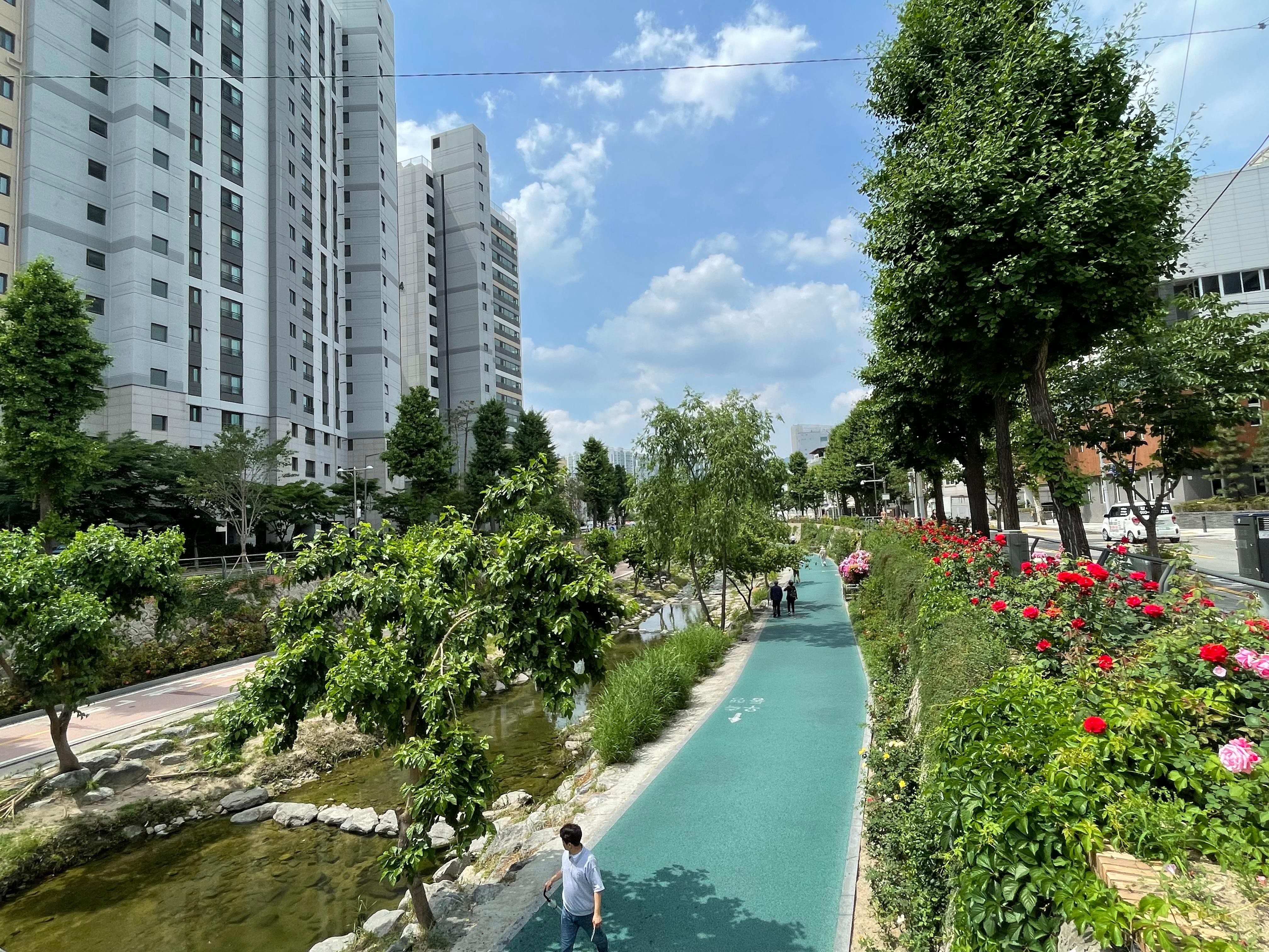 Seoul: Yoga Class and Cheonggye Stream Walk 3