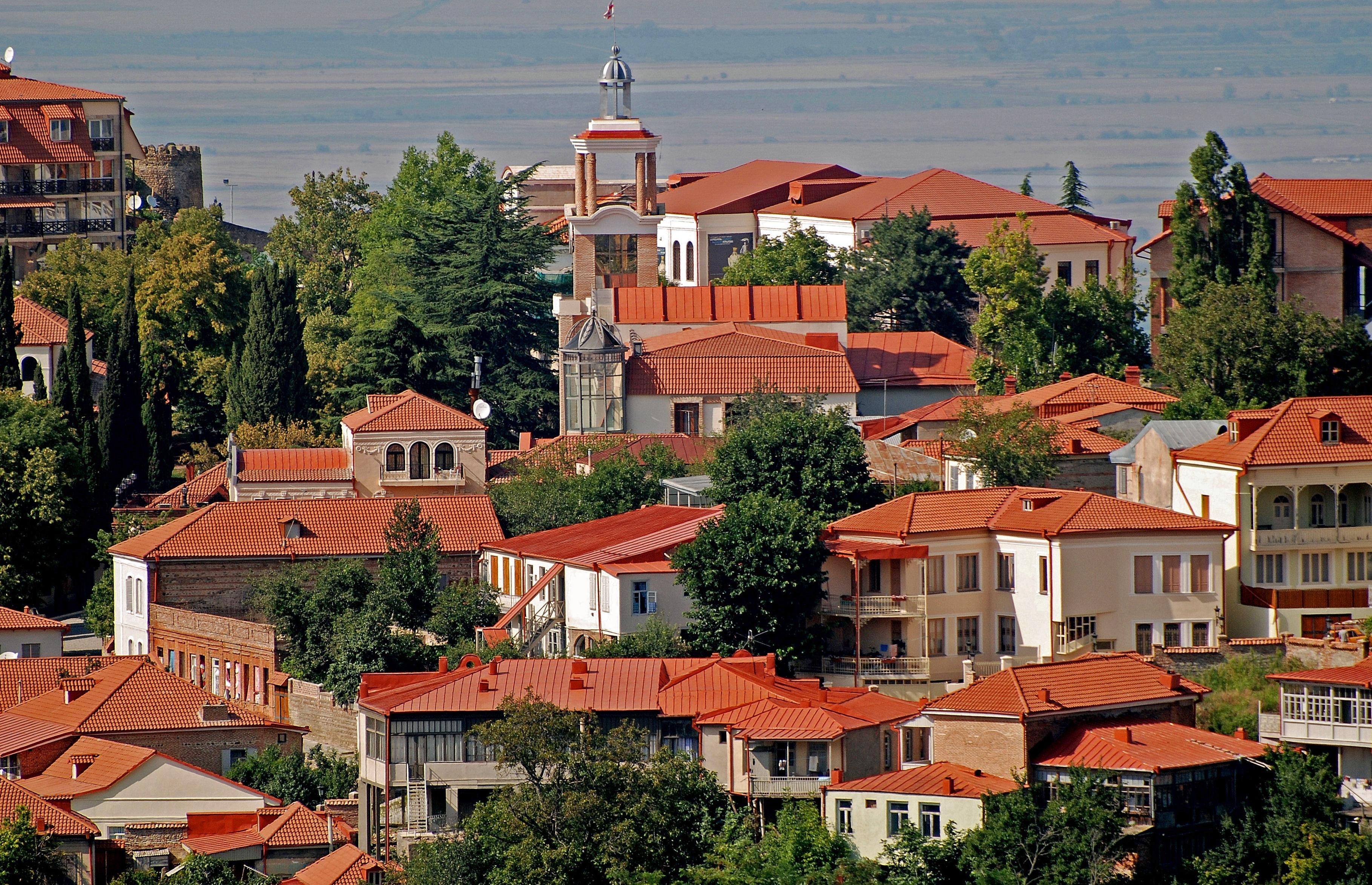 From Tbilisi: Kakheti Wine Tour & Sighnaghi City of Love 3
