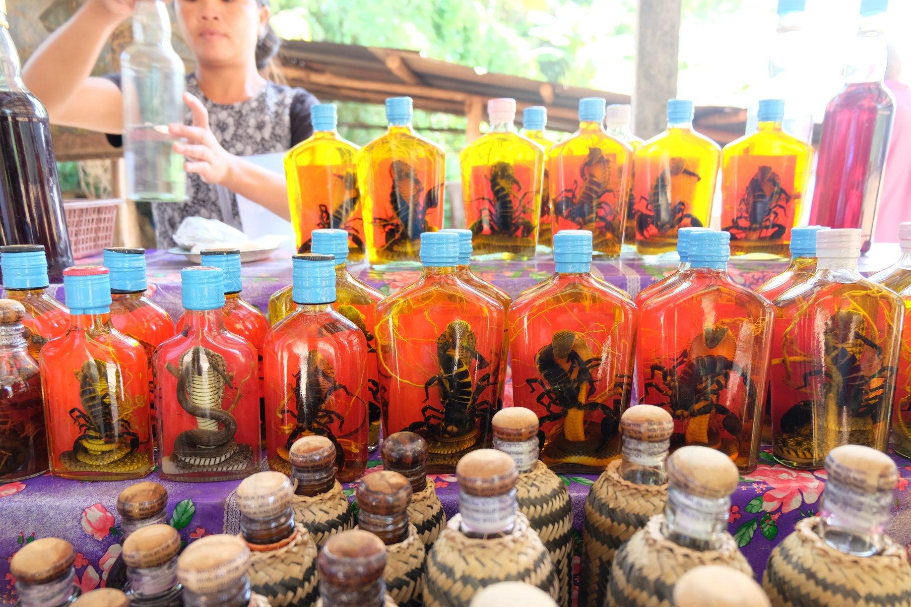Mekong Cruise to Pak Ou Cave & Kuang Si Waterfall with Lunch 3