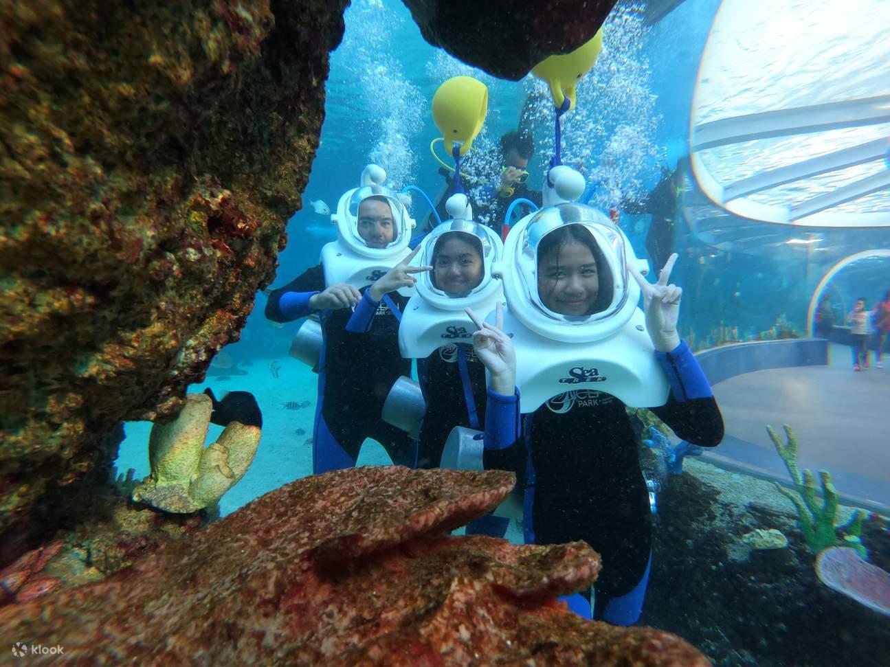 Cebu: Ocean Park Entry Ticket with Private Transfer 2