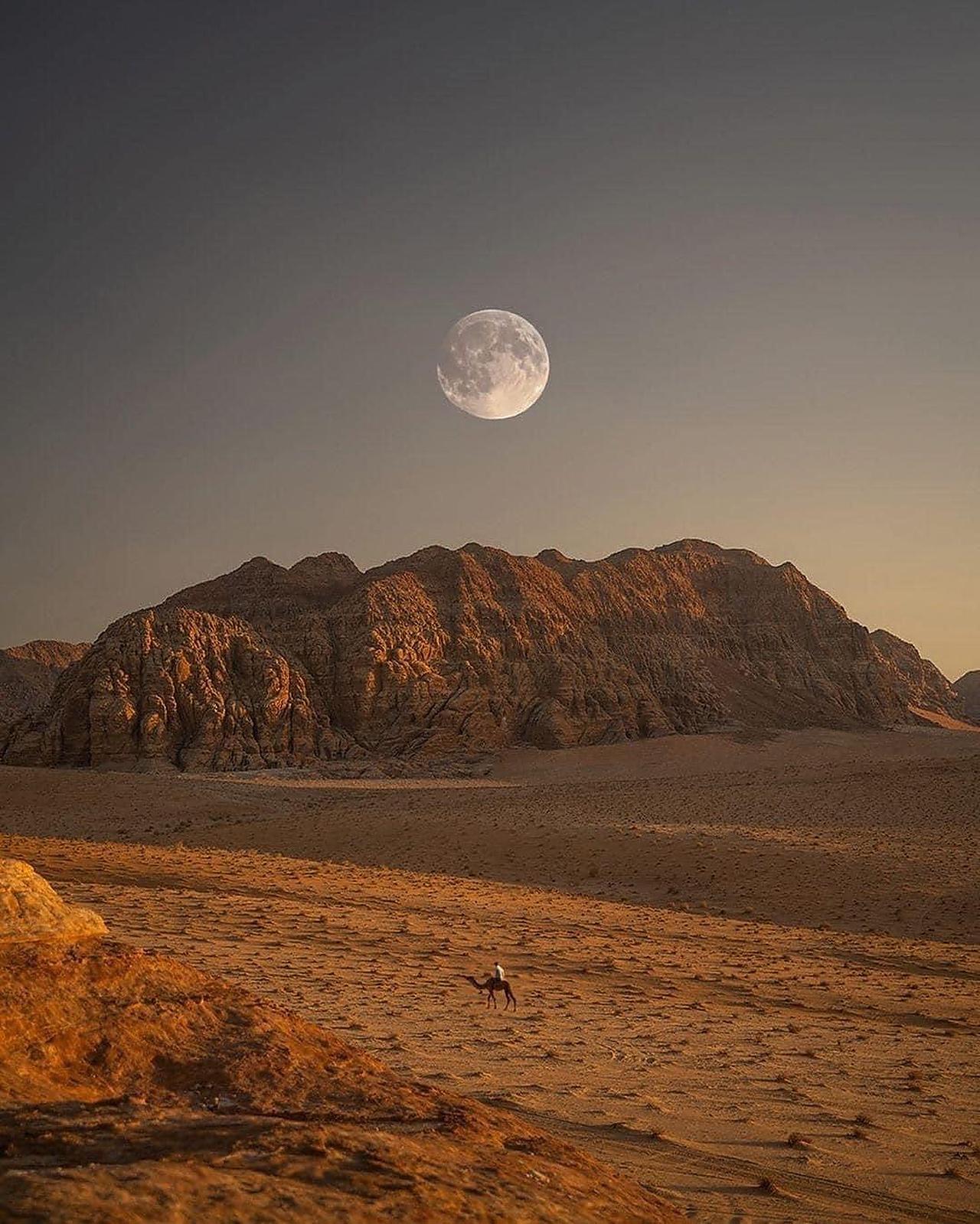 Jeep Tour with Sunset & Desert Wild Camping in Wadi Rum