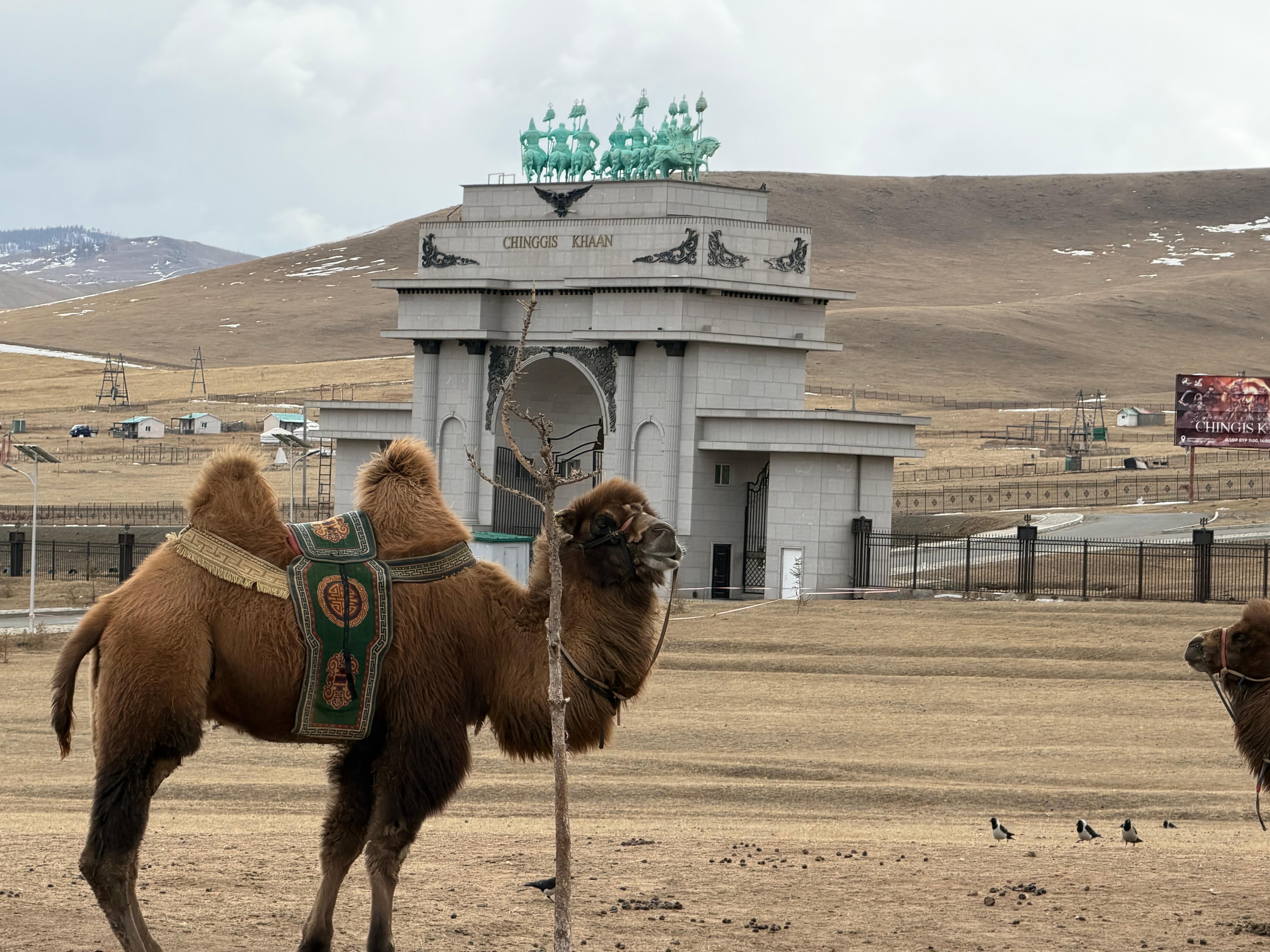 From Ulaanbaatar: Genghis Khan Statue & Terelj Park Tour 3