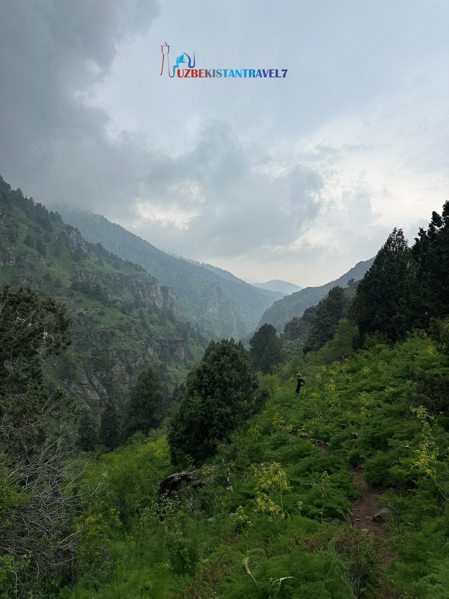 From Tashkent: Lashkerak Forest Guided Hike with Picnic 3