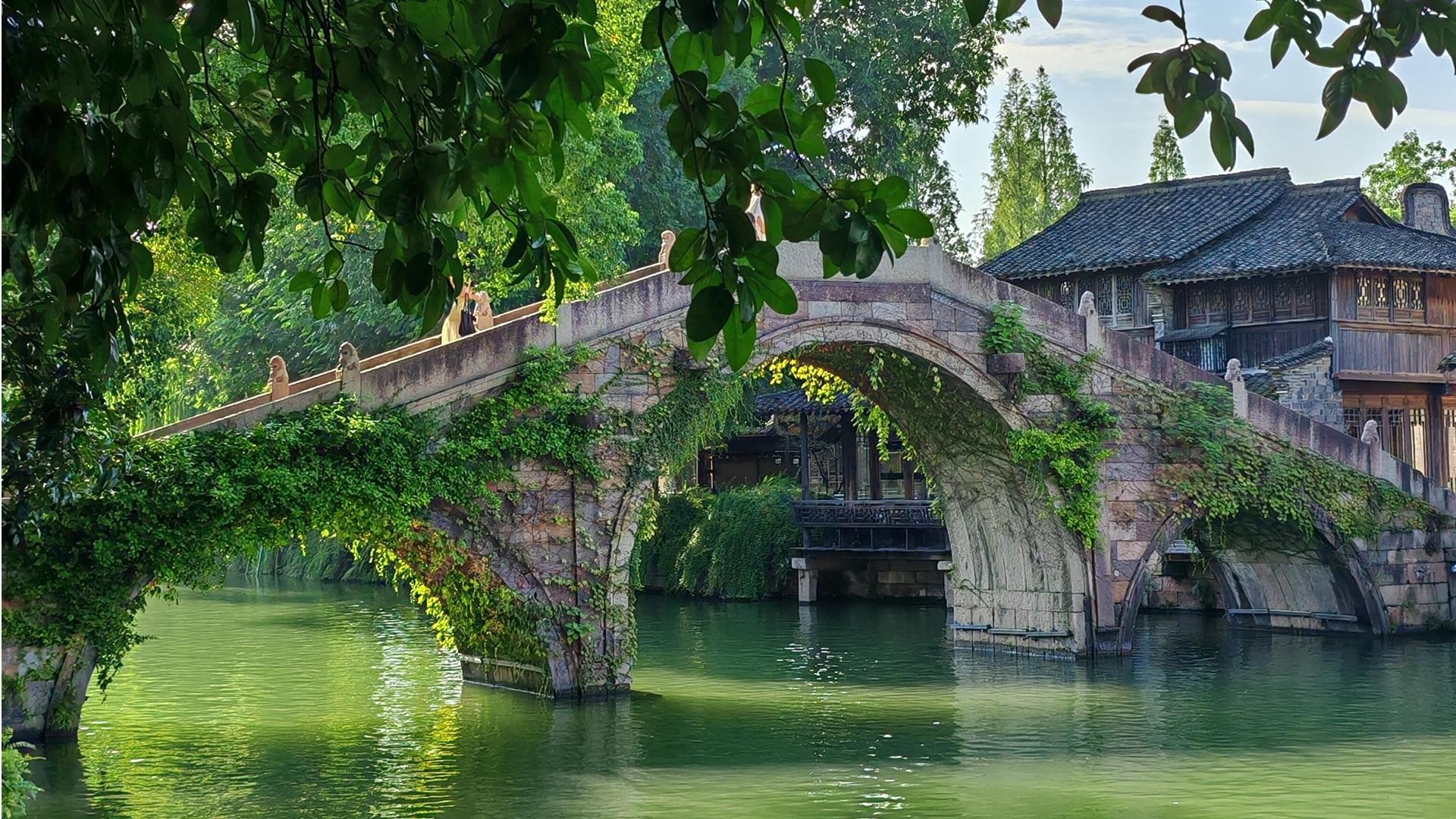 Shanghai: Private Wuzhen Day Tour with Indigo Workshop 3