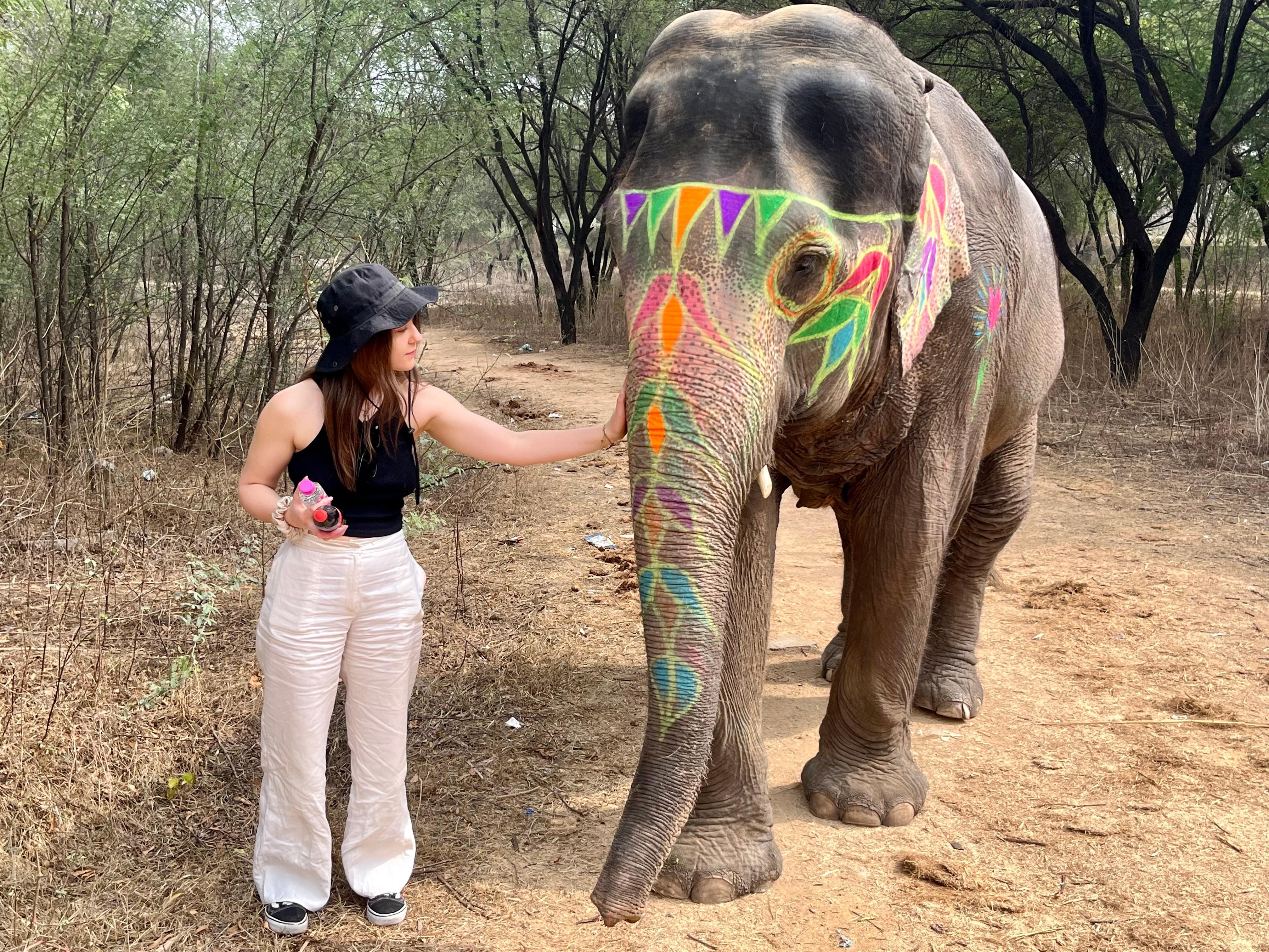 Elefun Elephant Sanctuary Tour in Jaipur 2