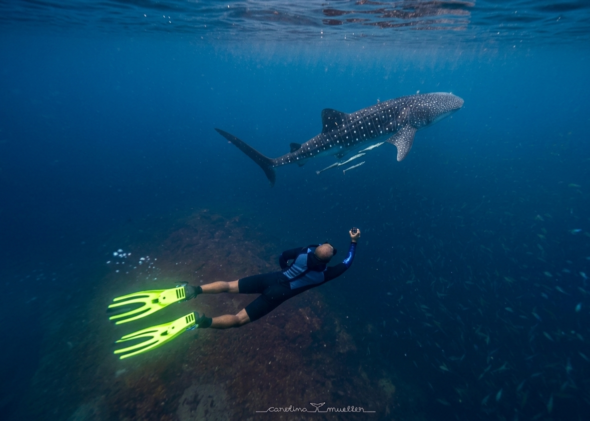 Muscat: Daymaniyat Islands Snorkeling Trip + BBQ-style meal