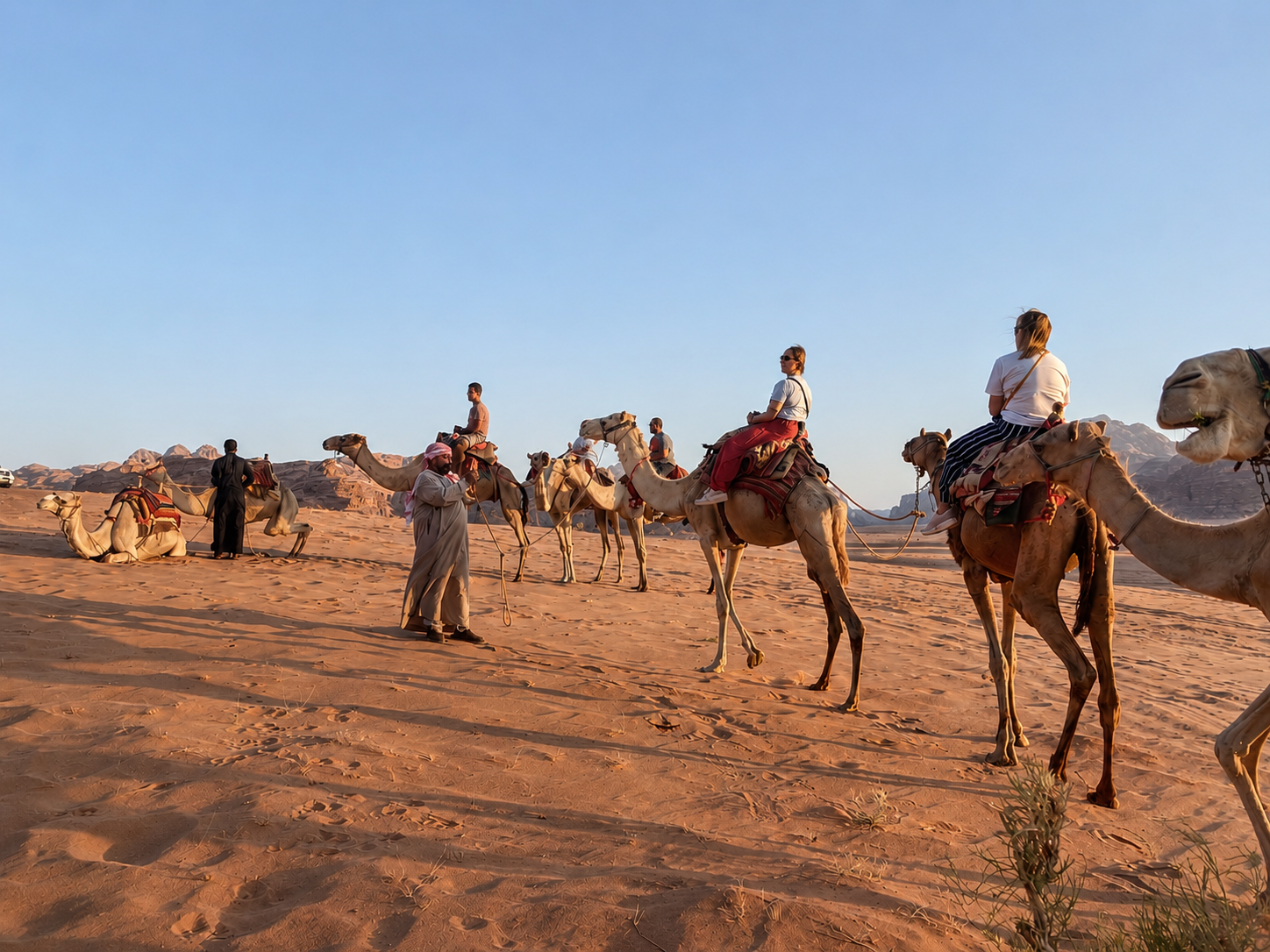 Wadi Rum Camel Ride with Camel Communication Class 3