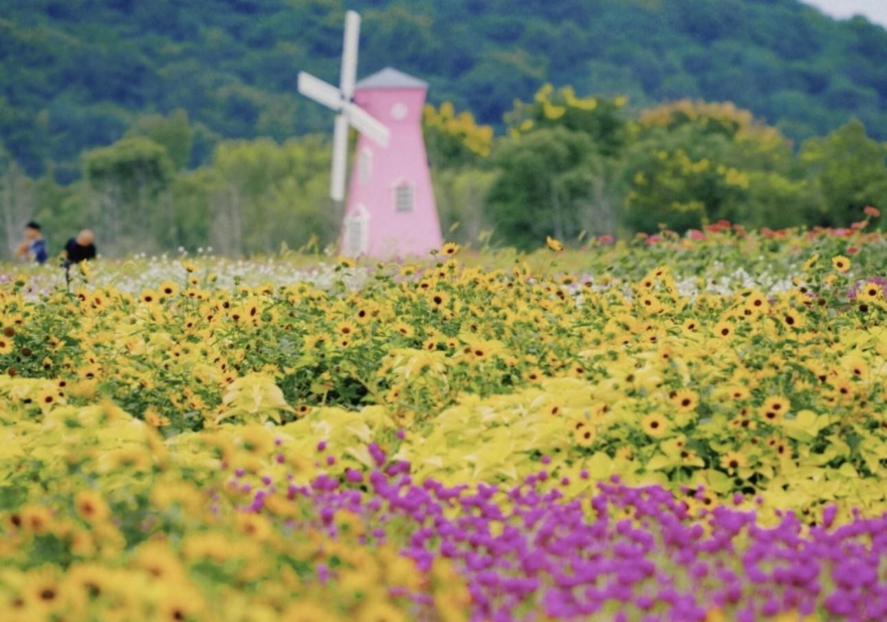 Shanghai: Tongjian Lake Kayaking, Lingshan Cave & Flowers 2