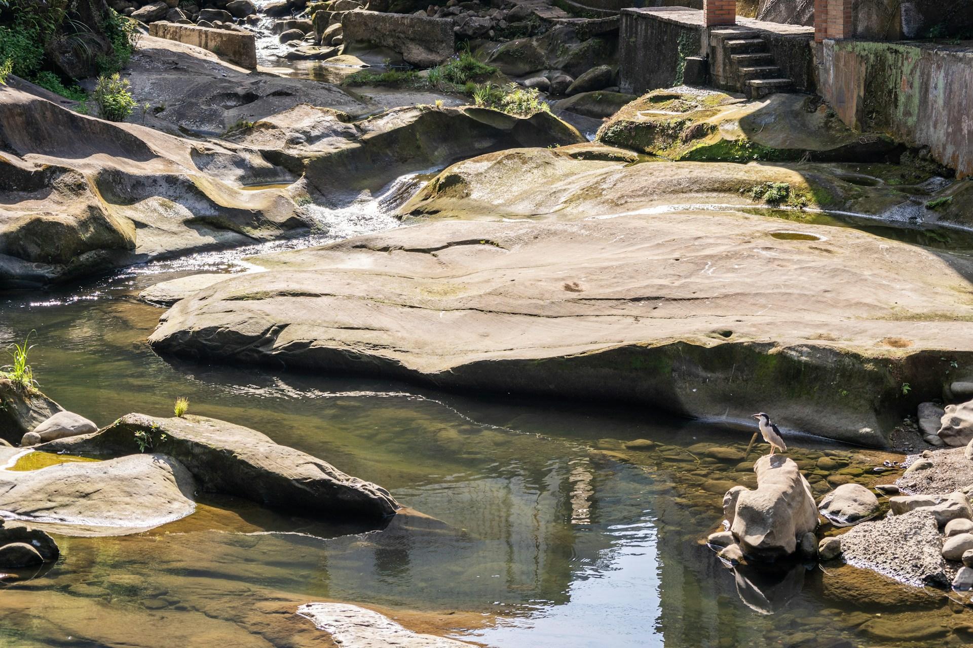 Shanghai: Anji Bamboo Stream & Clear Pools Private Day Trip 3