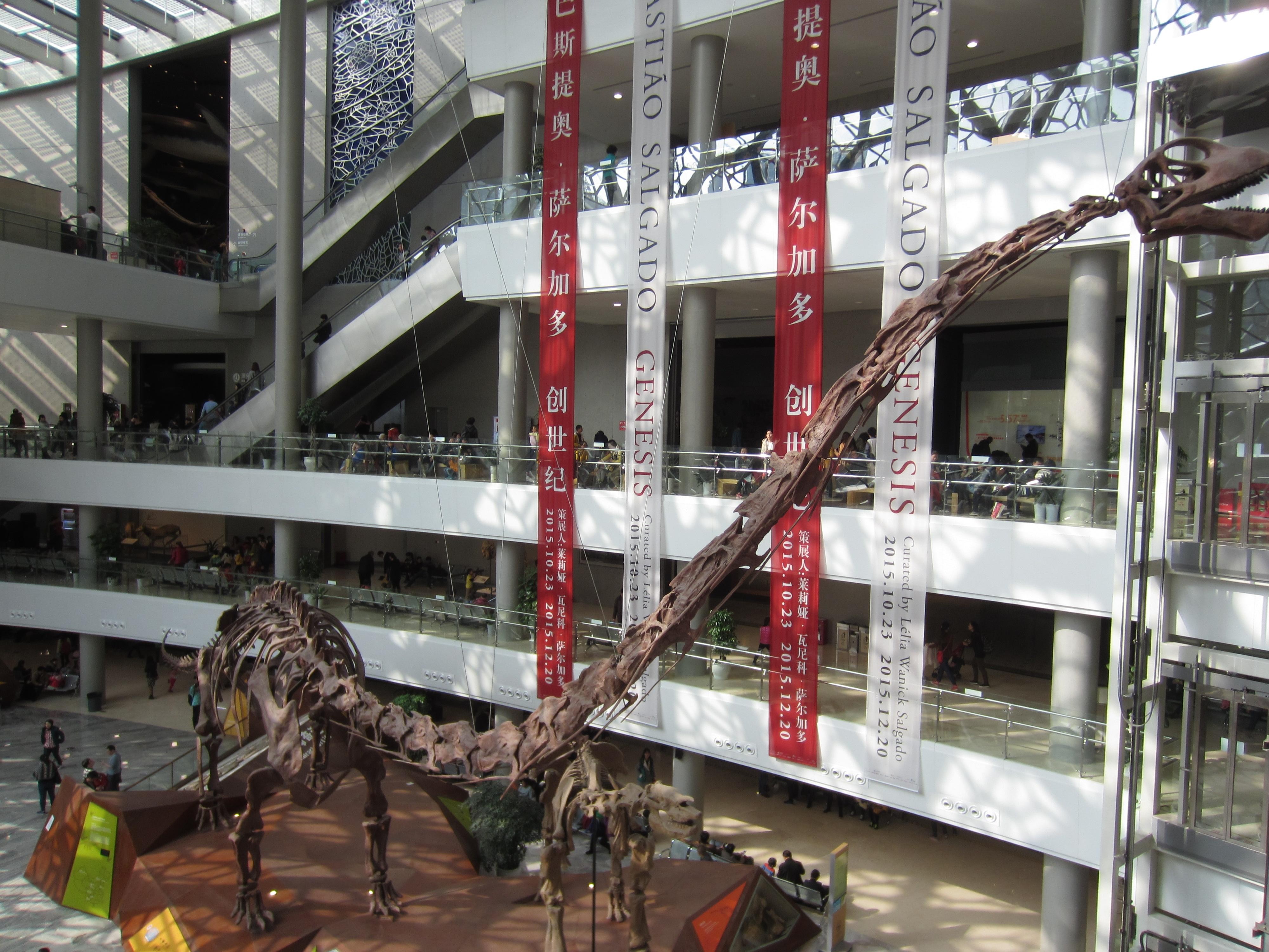 Shanghai: Private Natural History Museum Family Science Tour 2