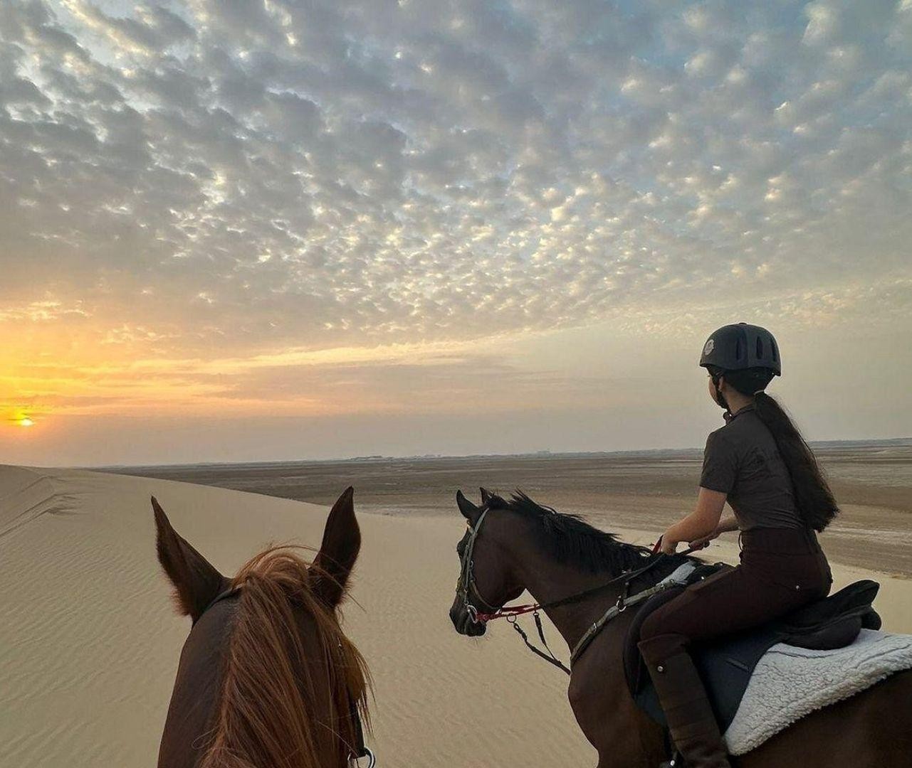 Doha: Arabian Horses & Desert Horizon Guided Tour 3
