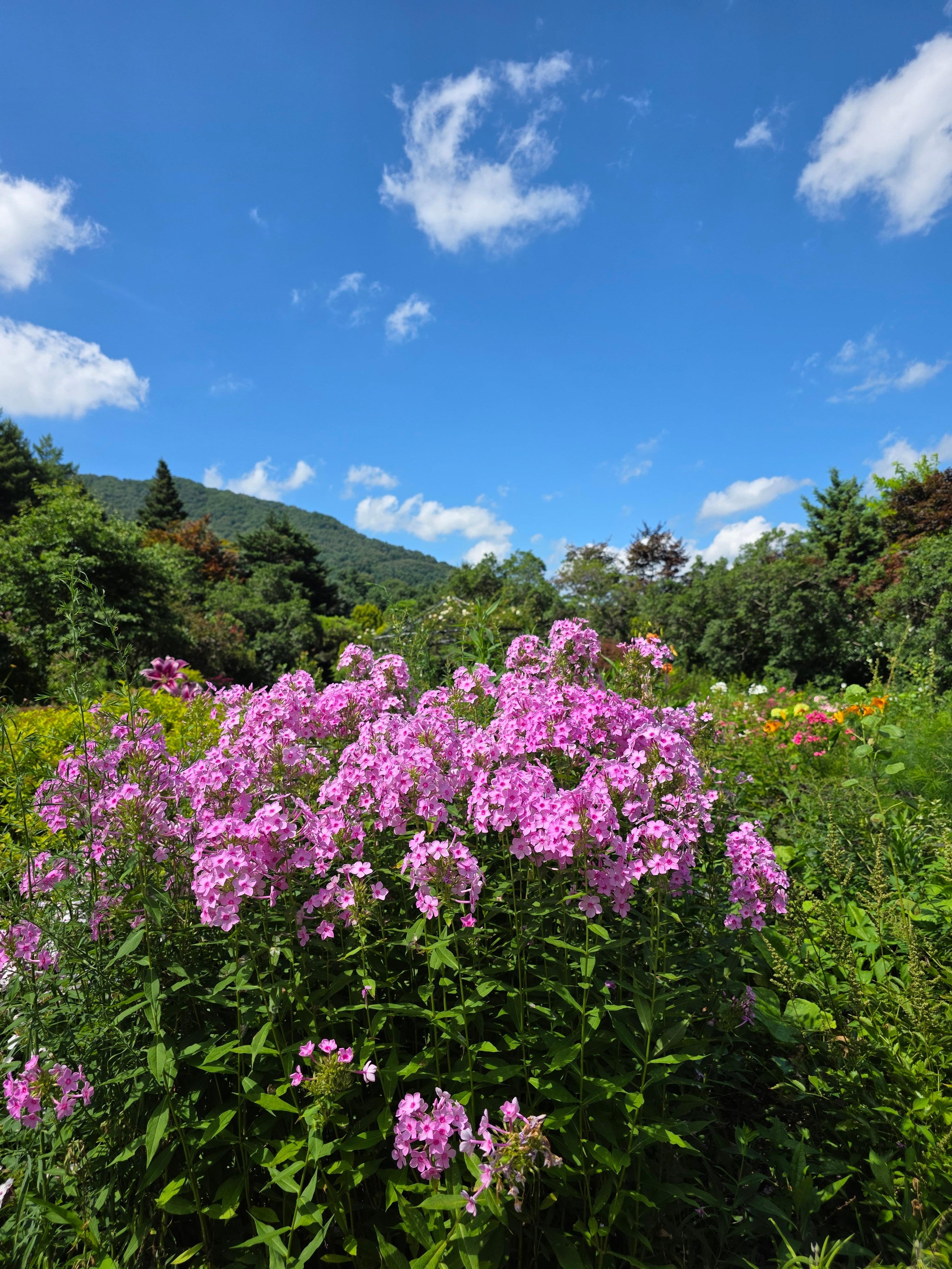 From Seoul: Garden of Morning Calm Day Tour by train 2