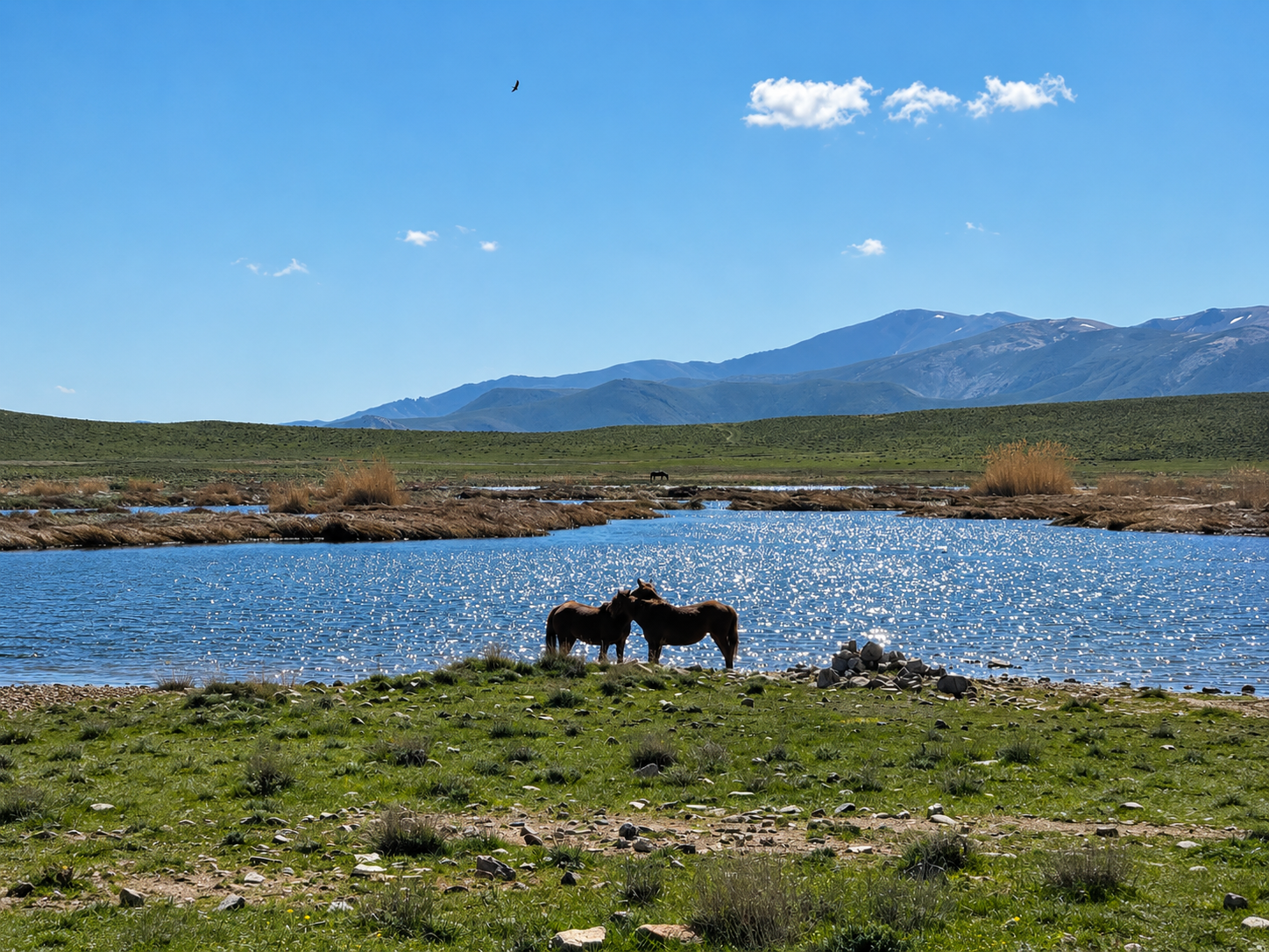 2-Day Sentob Village Homestay & Guided Hike 3