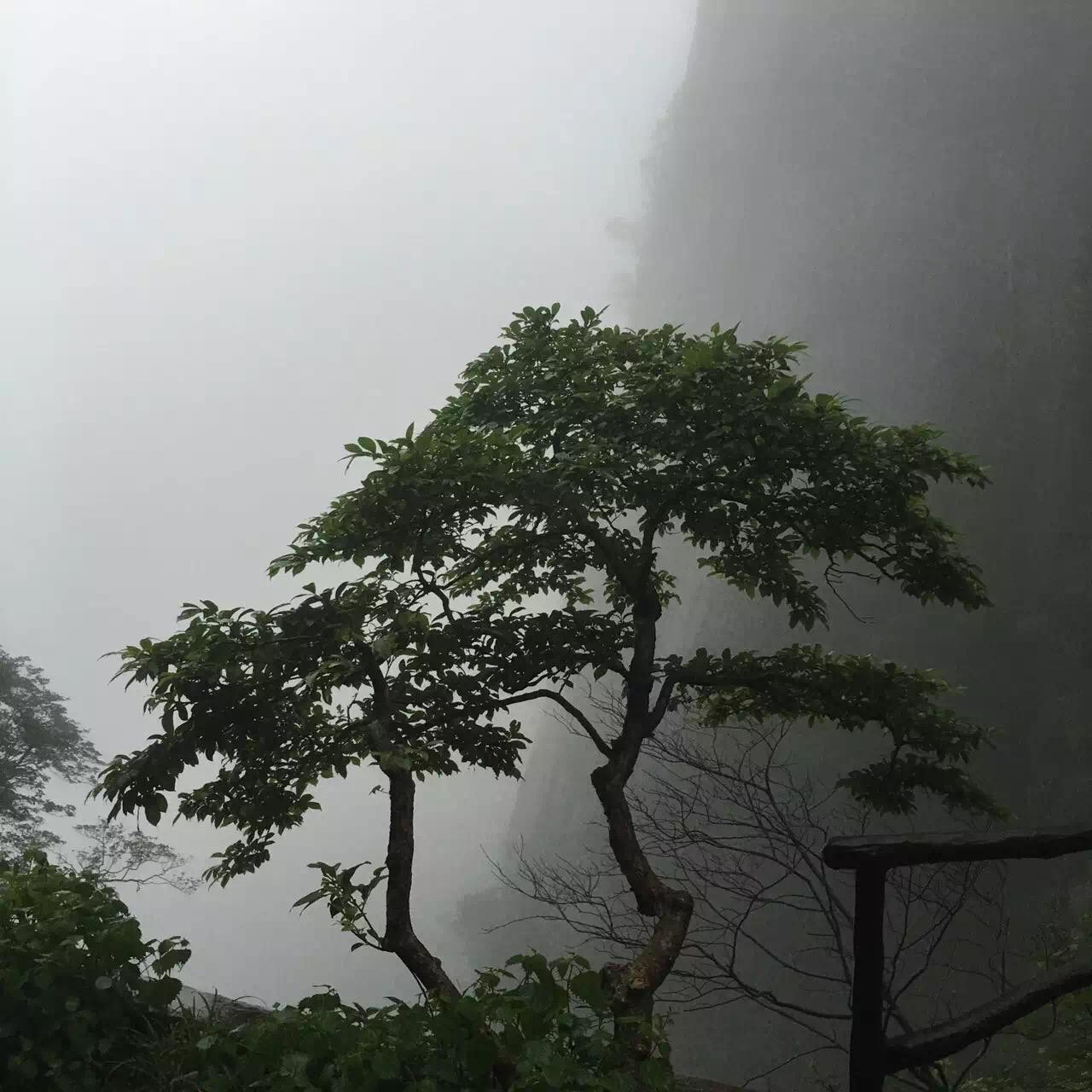 Shanghai: Sanqingshan & Xiaoyao Valley 2-Day Private Tour