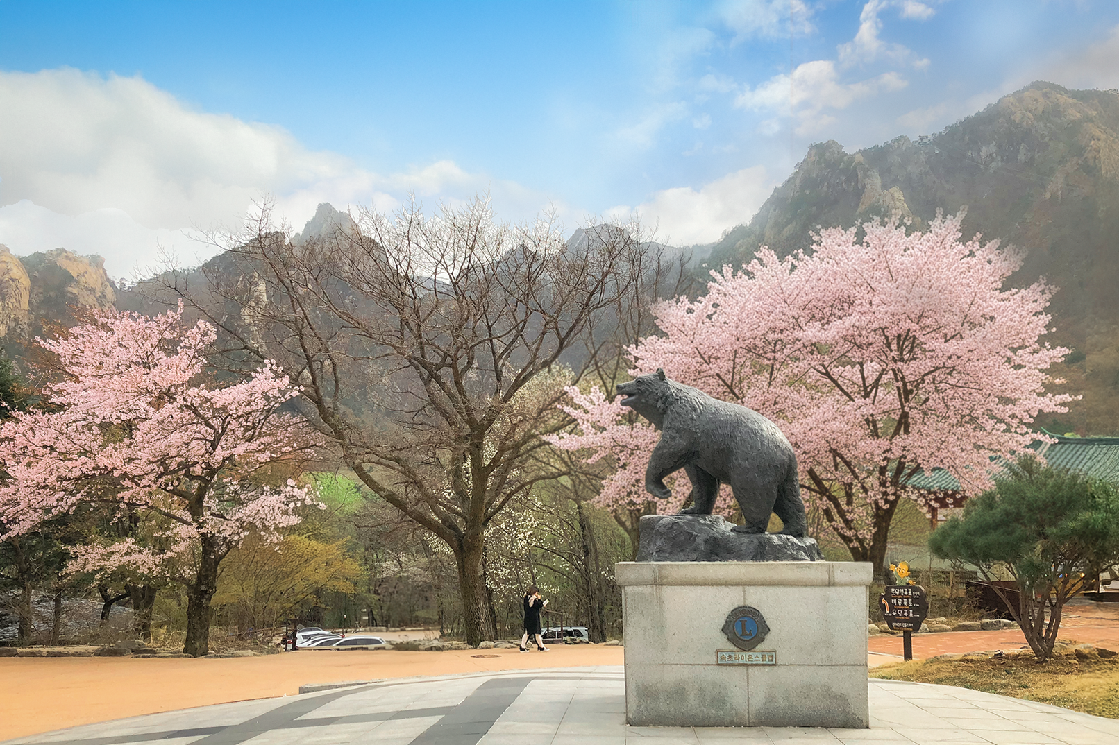 Seoul: Mt.Seorak, Nami Island, No Shopping(+RailBike Option) 3