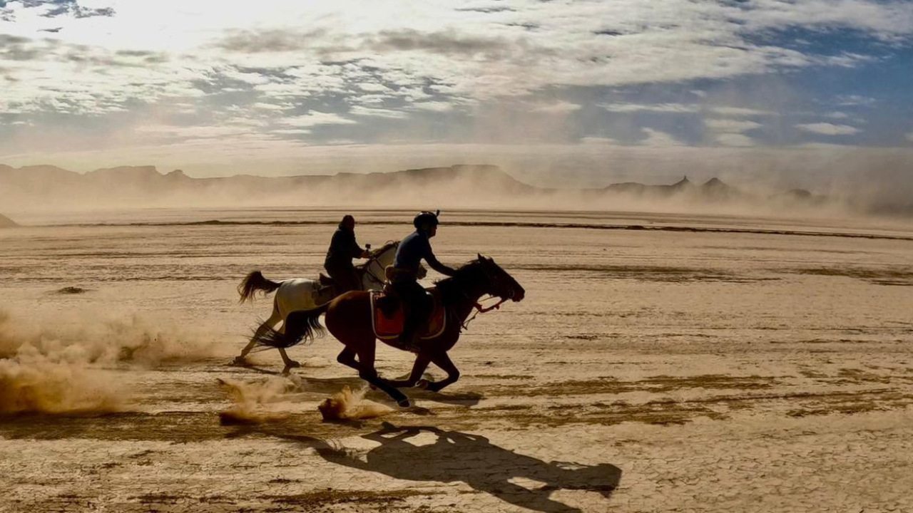 Ride the Dunes: Doha Desert Horseback Adventure 2