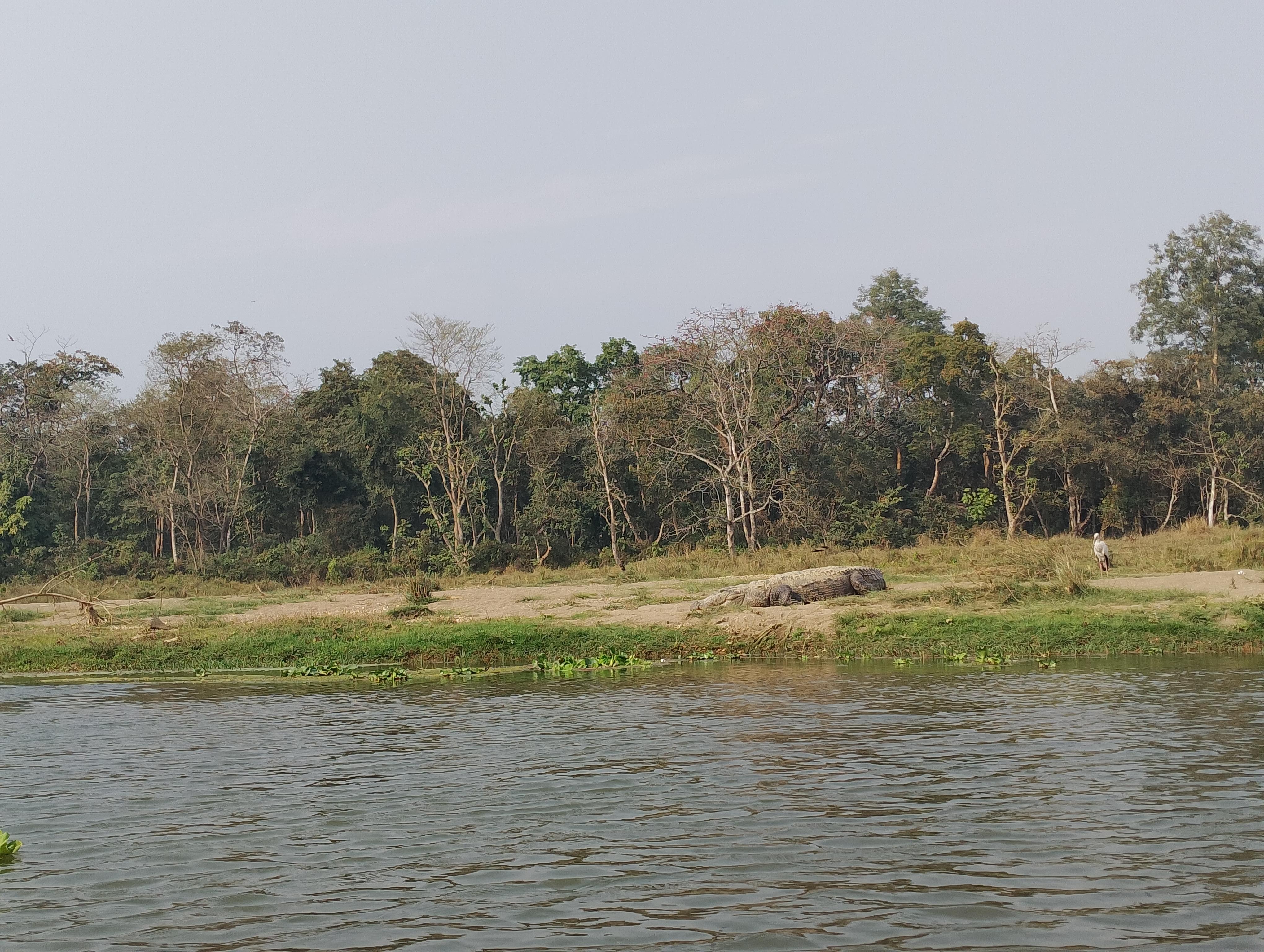 From Kathmandu or Pokhara 3 day Chitwan Tour with Rafting 3